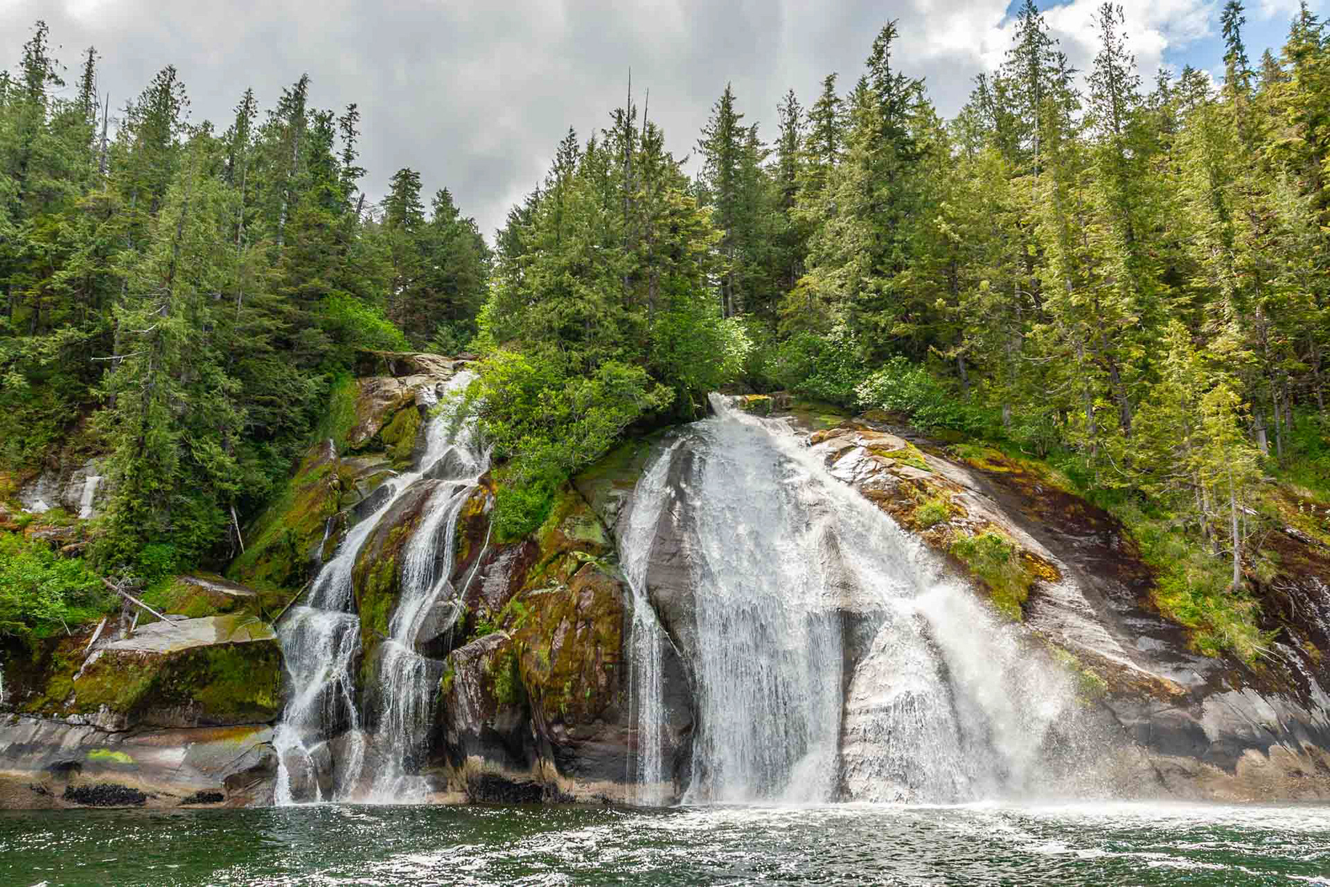 Harmony. Great Bear Rainforest 2010