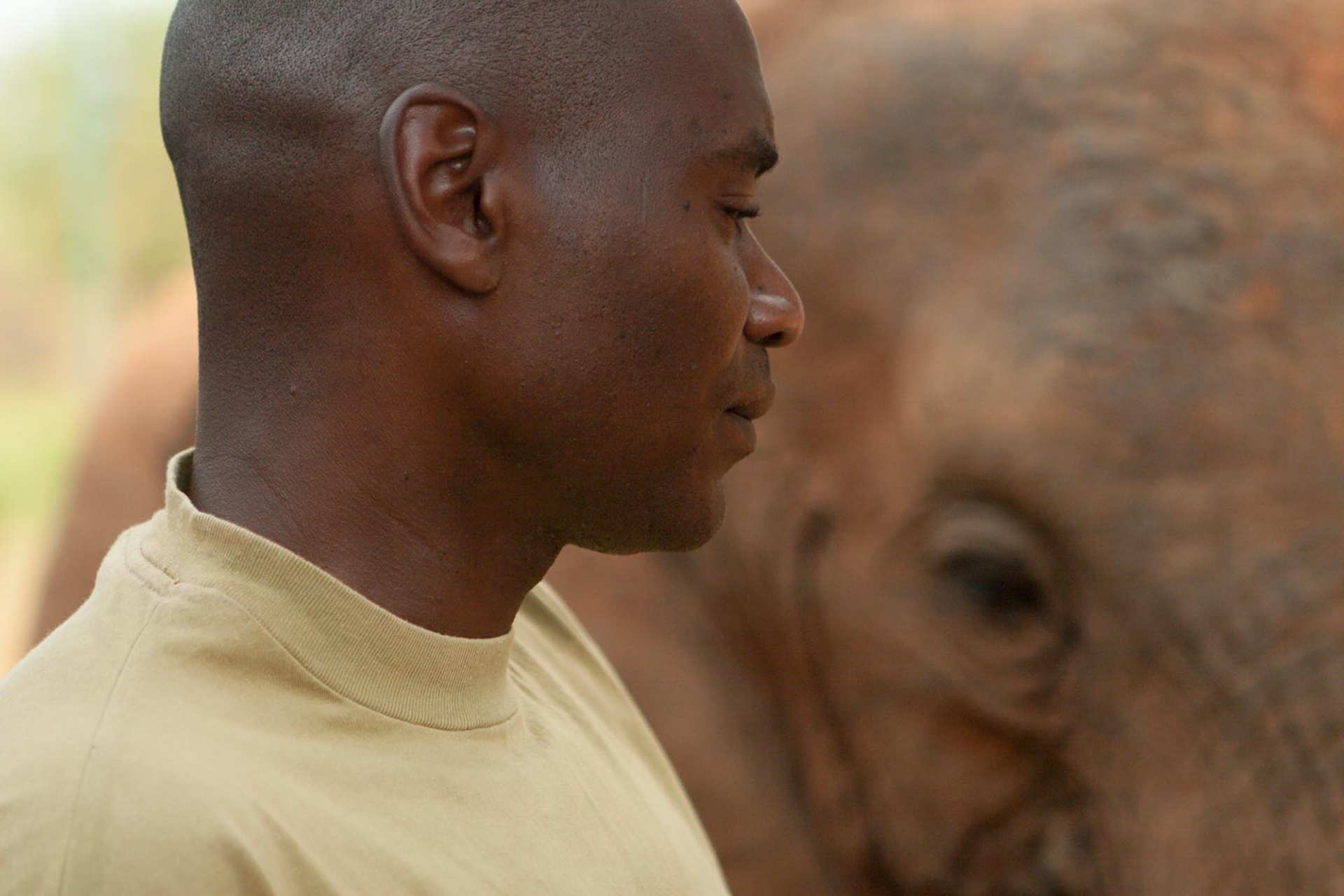 Nature of Things. Benjamin, DSWT Ithumba camp, Tsavo, Kenya 2013