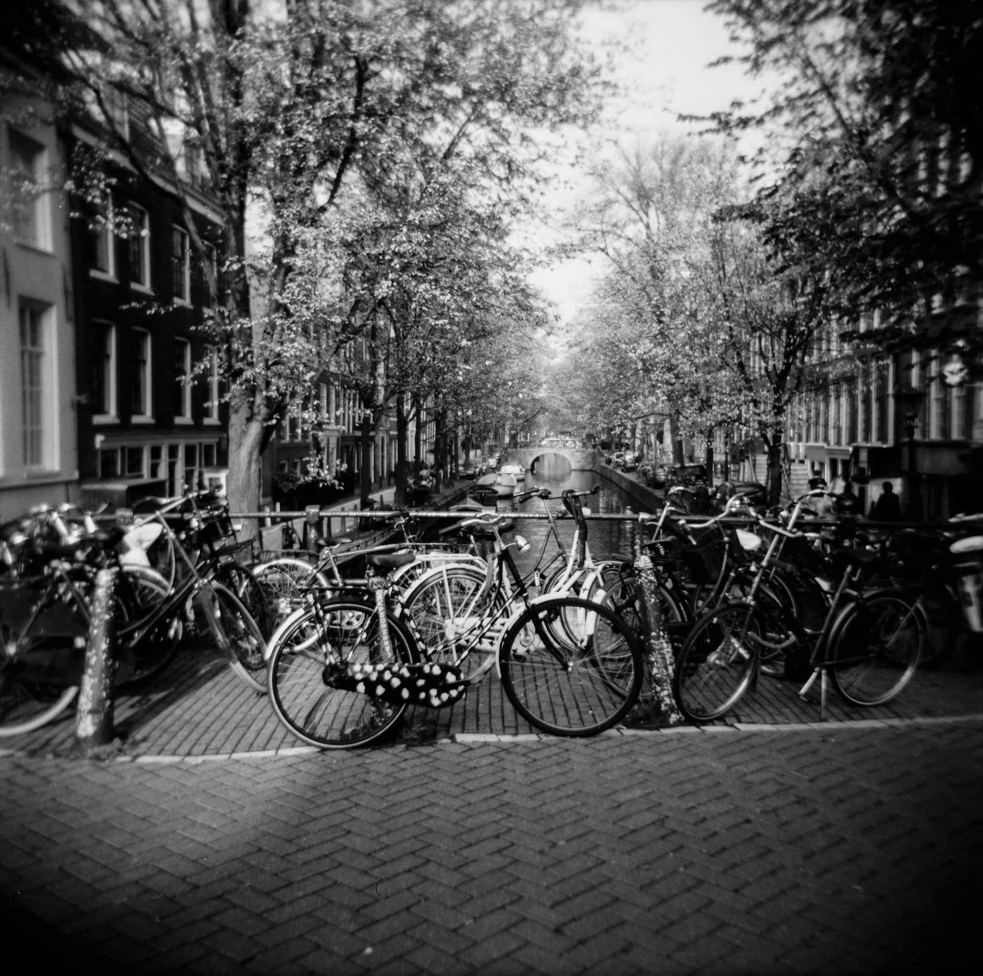 bikkes parked Amsterdam, 2013