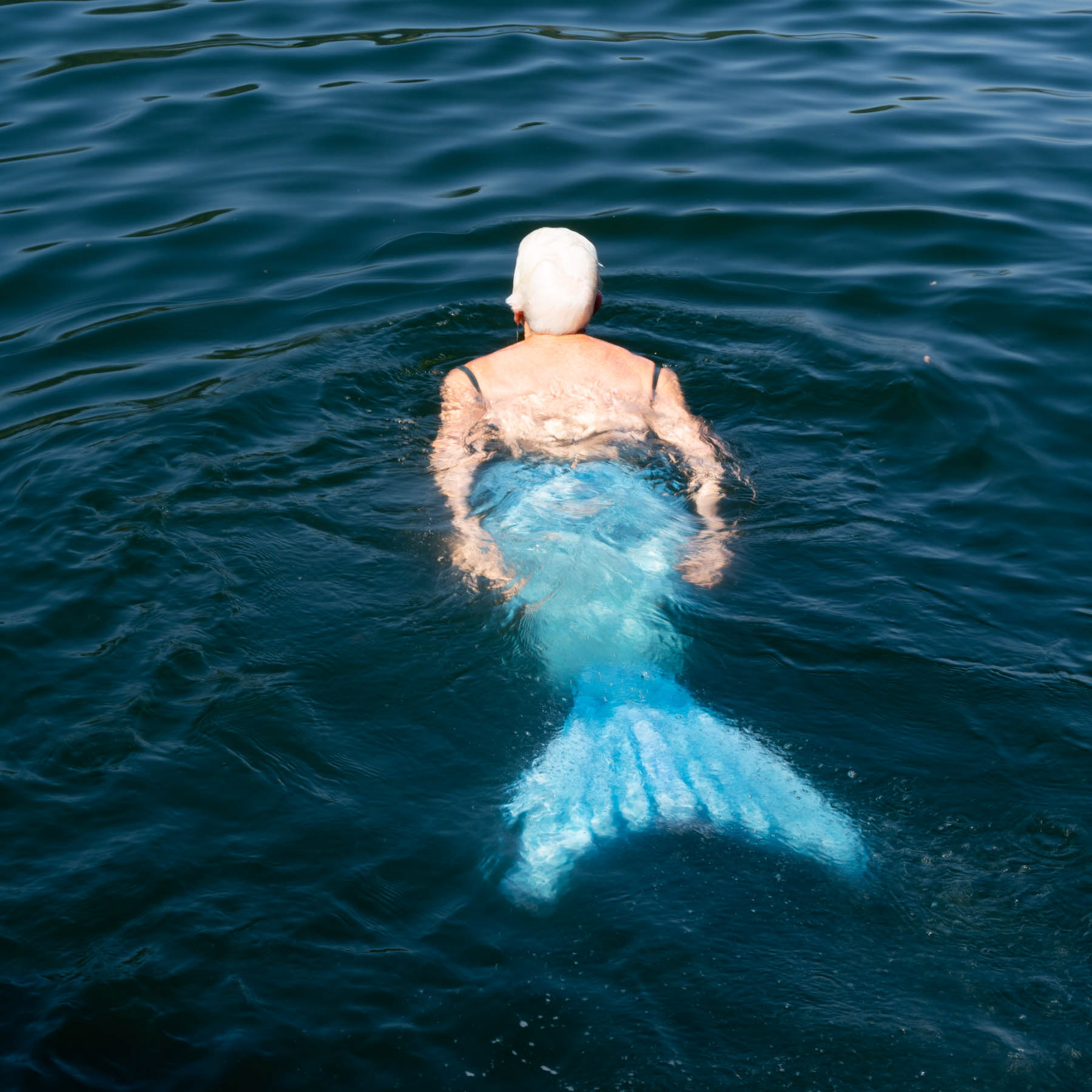  Mermaid in Dobson Bay, Deep Cove BC  July 29, 2022