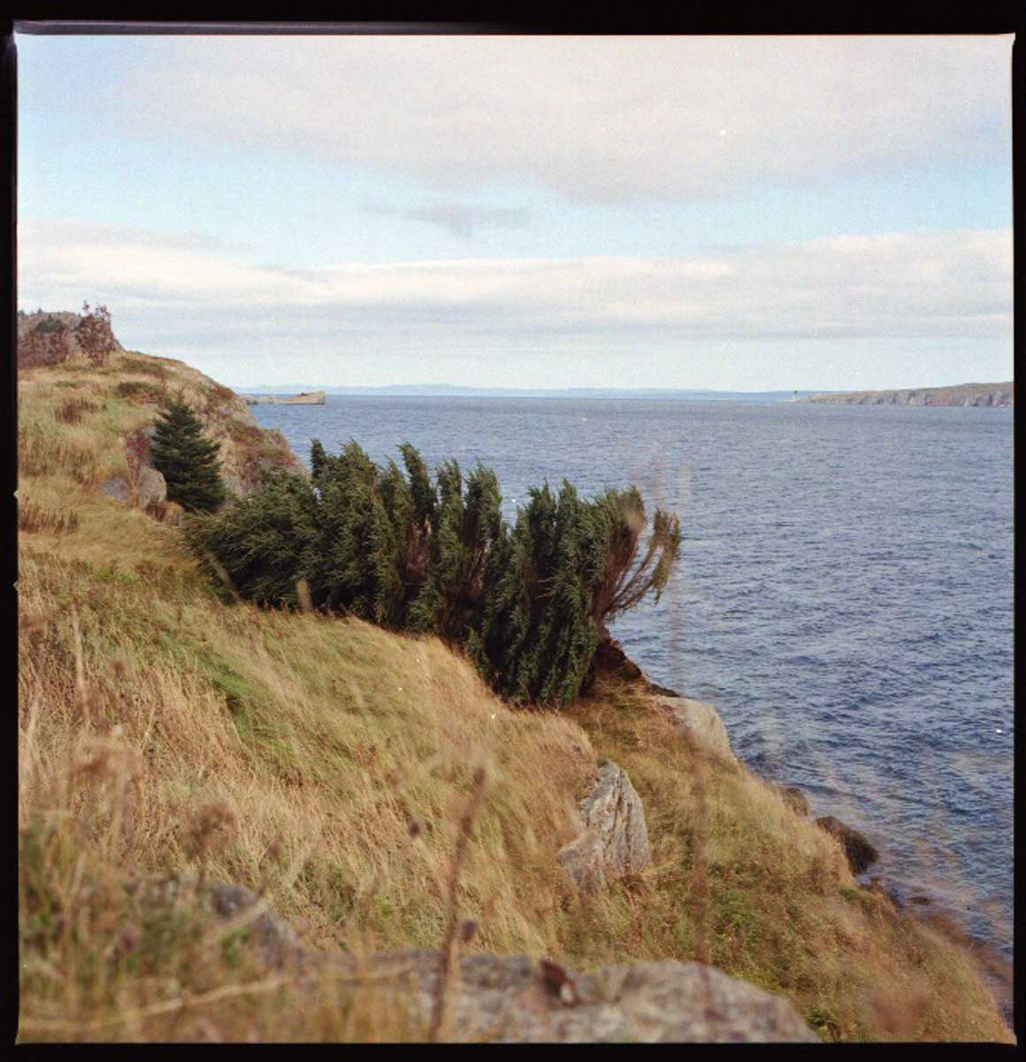 After Hurricane Larry, Bay Roberts shoreline heritage walk, 2021