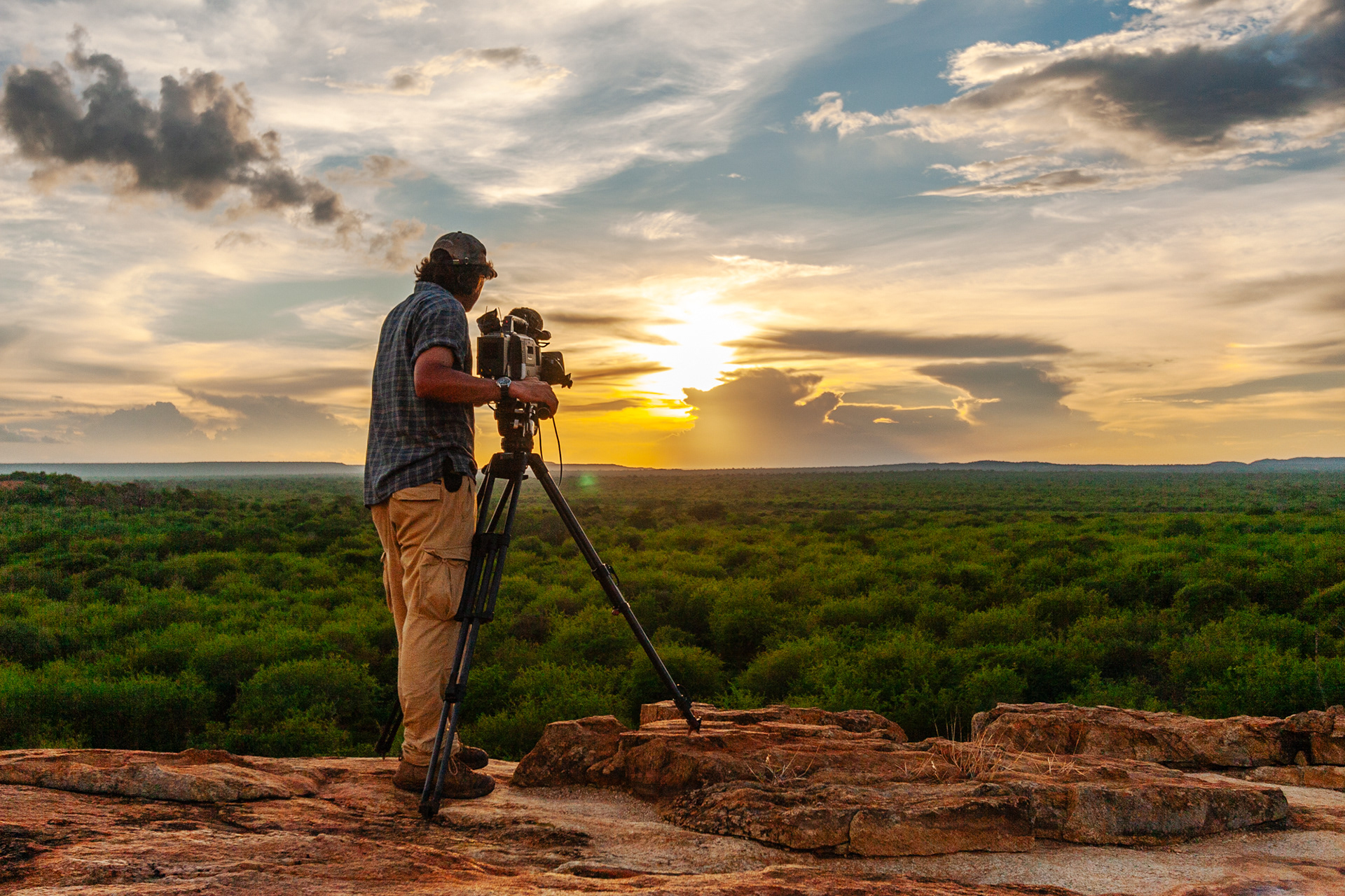 Nature of Things. DSWT  Ithumba Tsavo, Kenya 2010