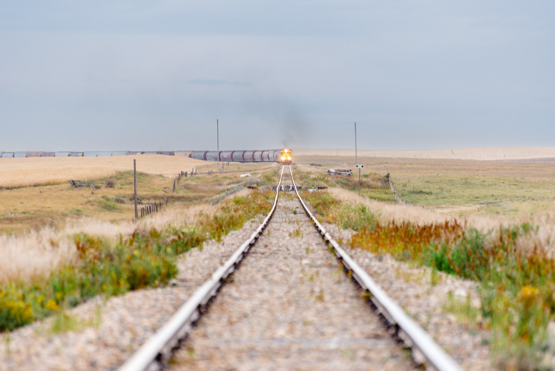 49.706022, -106.645277 September 2016