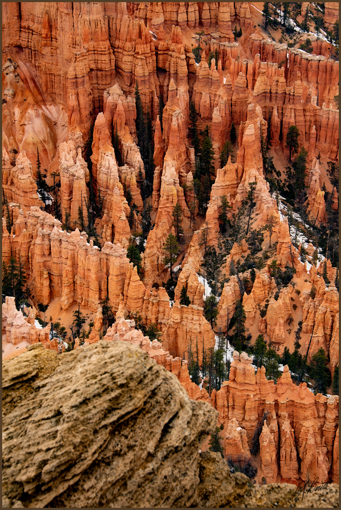 Hoodoos of Bryce Canyon