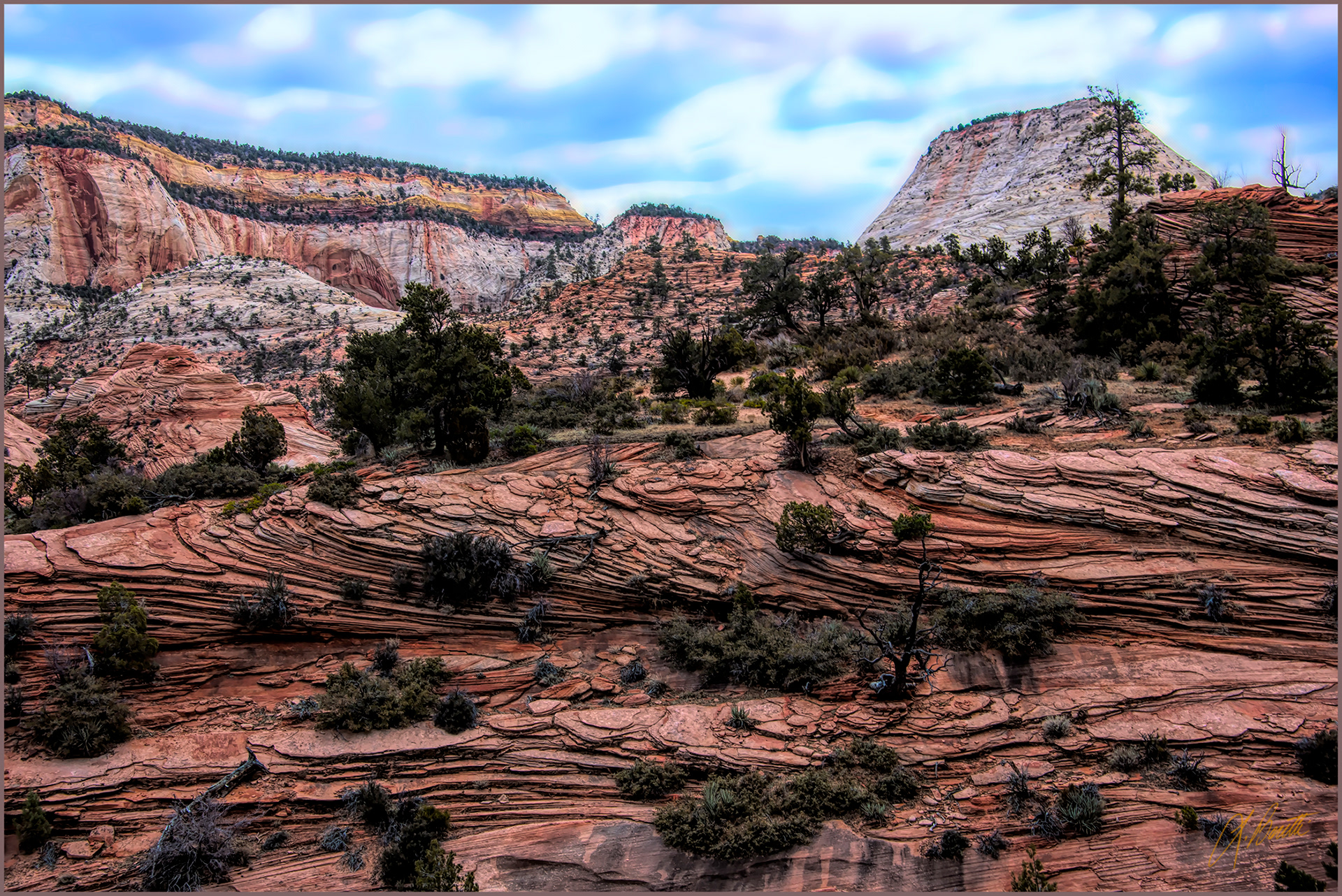 Rocks of Zion