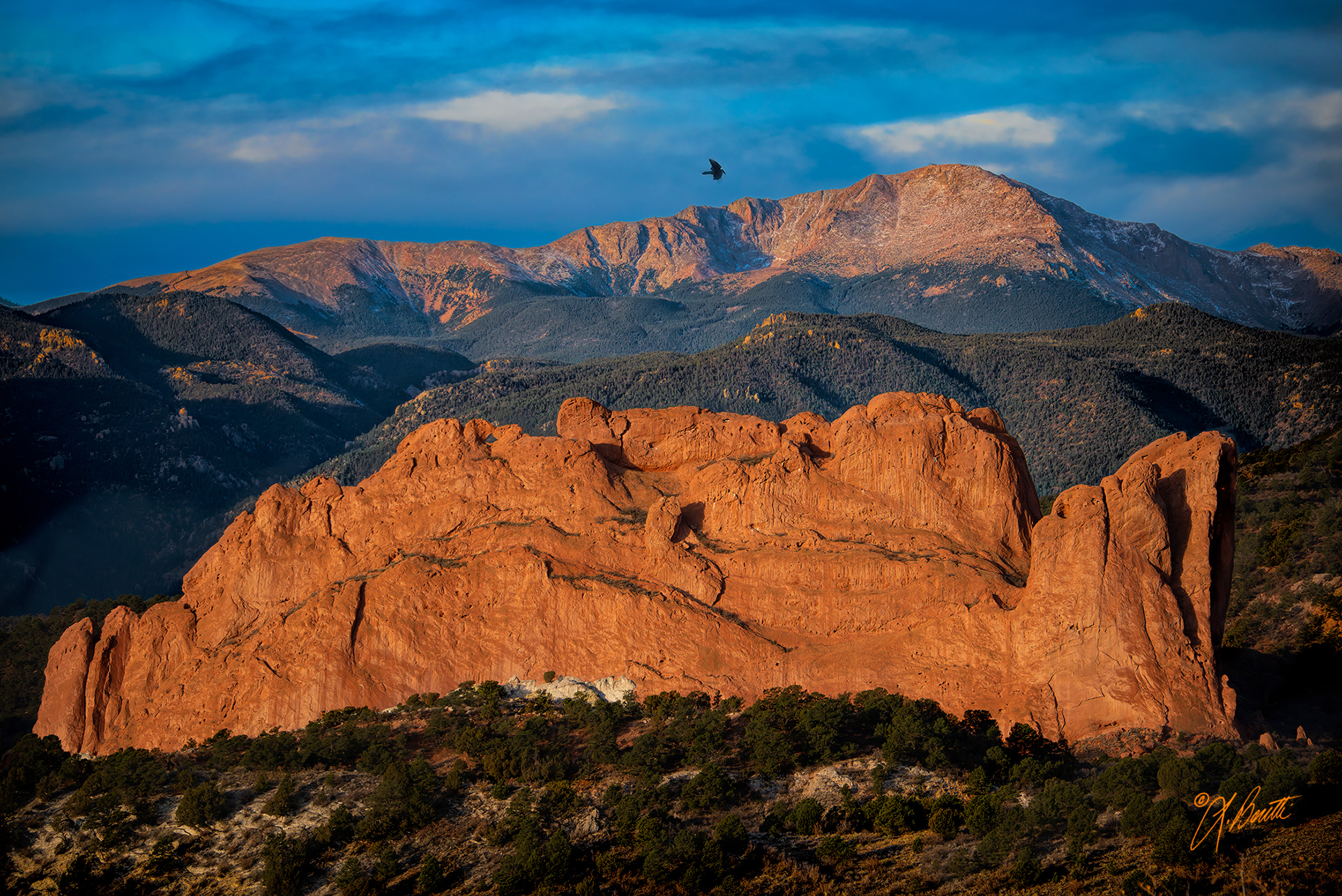 Raven over Garden of the Gods