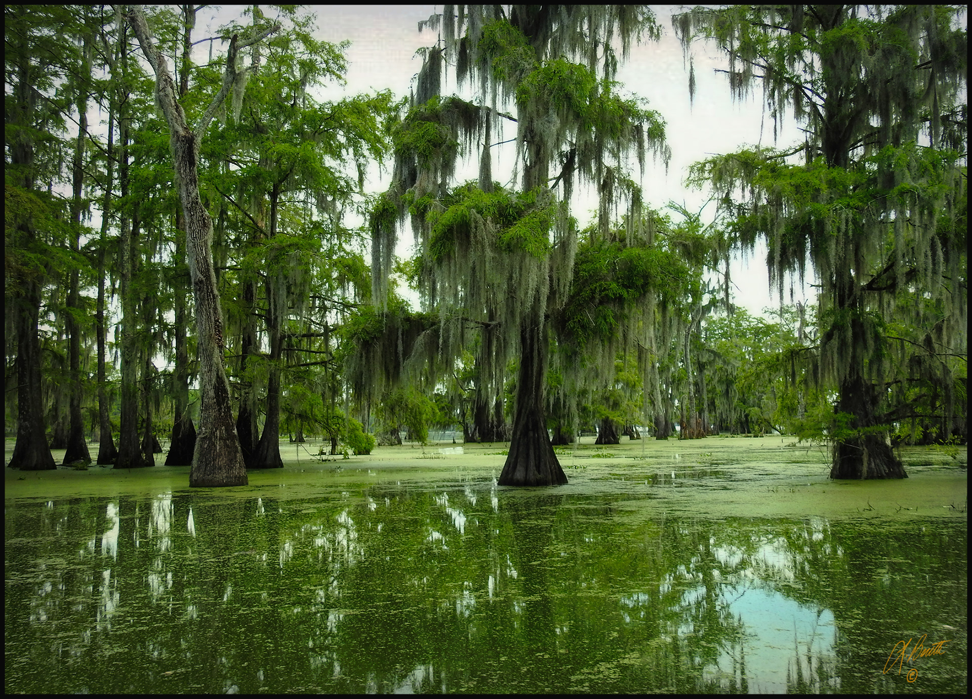 Bayou watters