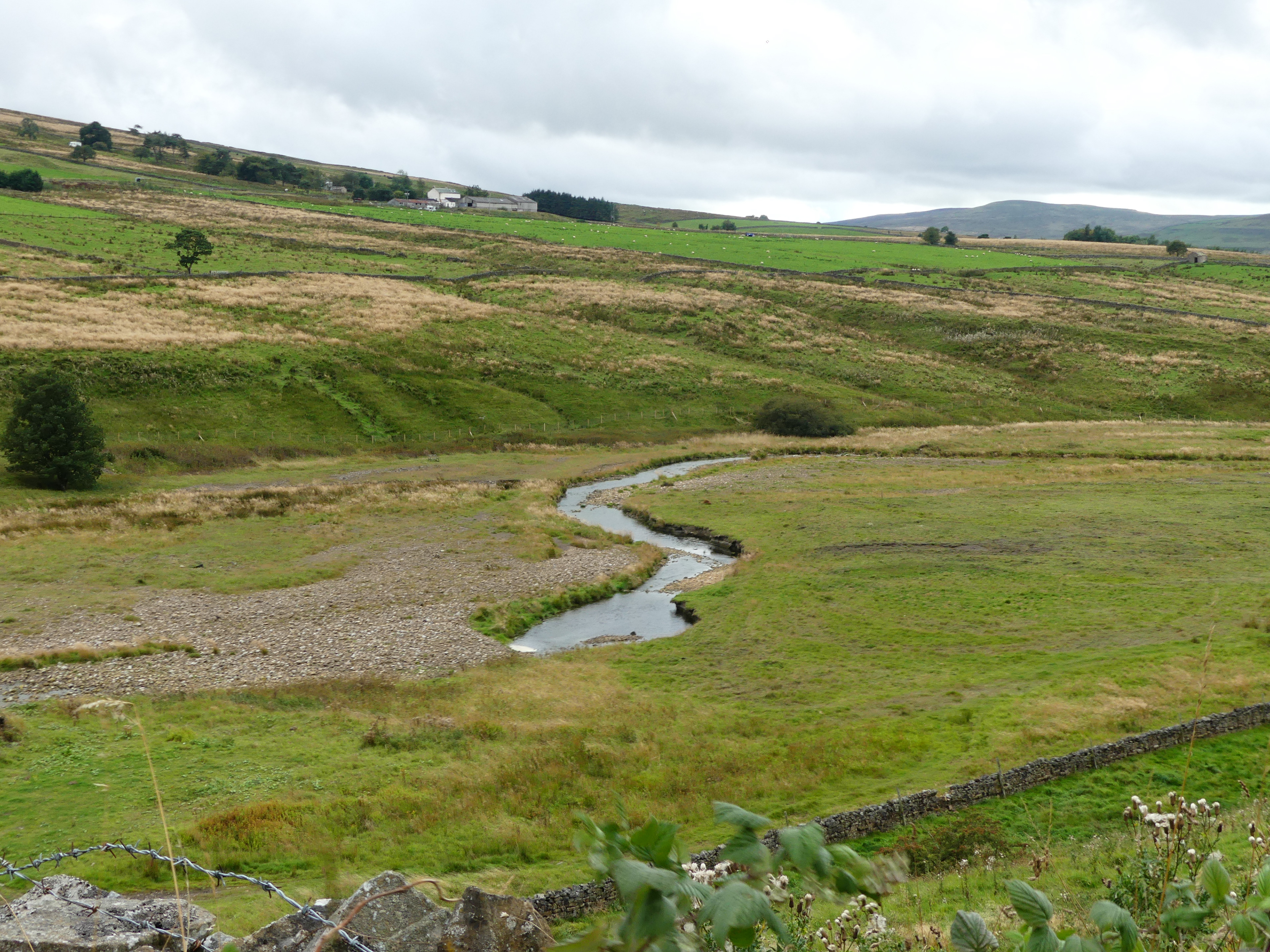 Stanhope, nr Allenheads.