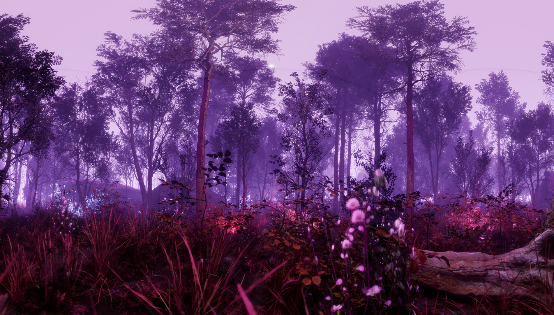 (2022). Infrared Forest World. [Game engine render]. Render still.