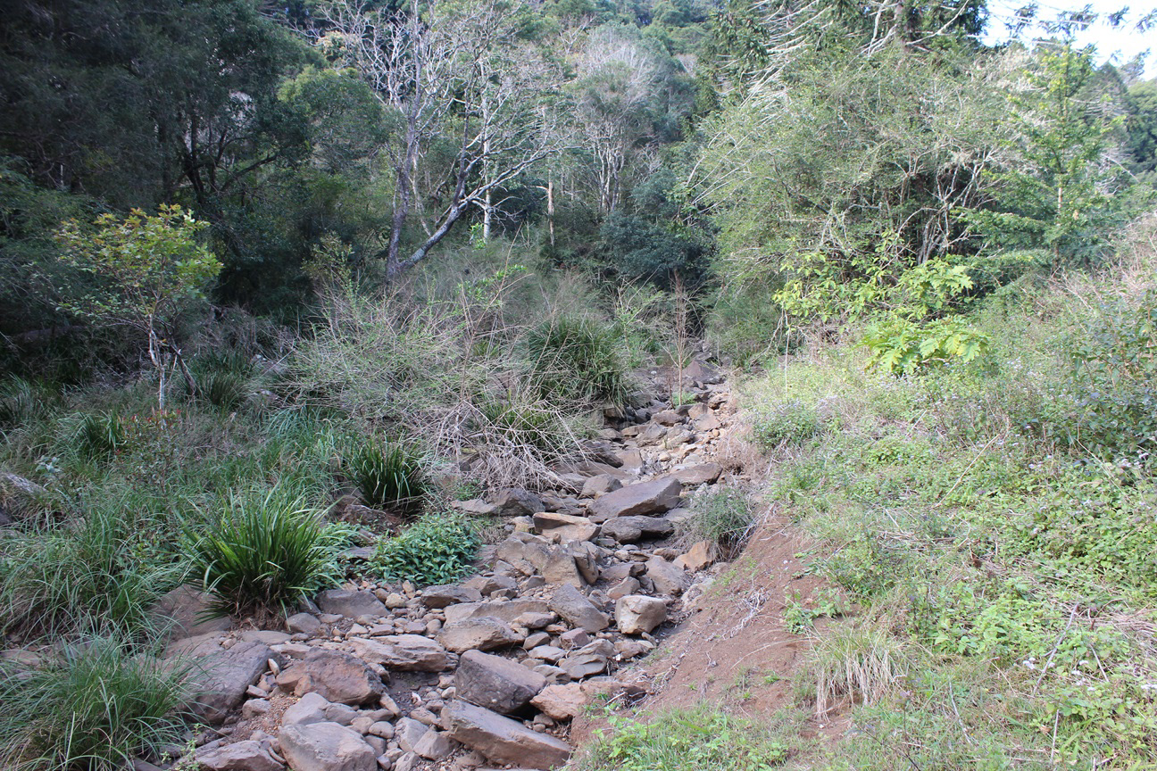 (2022). Basalt cliffs on the Obi Obi creek bed. [photograph]. Taken by Author.