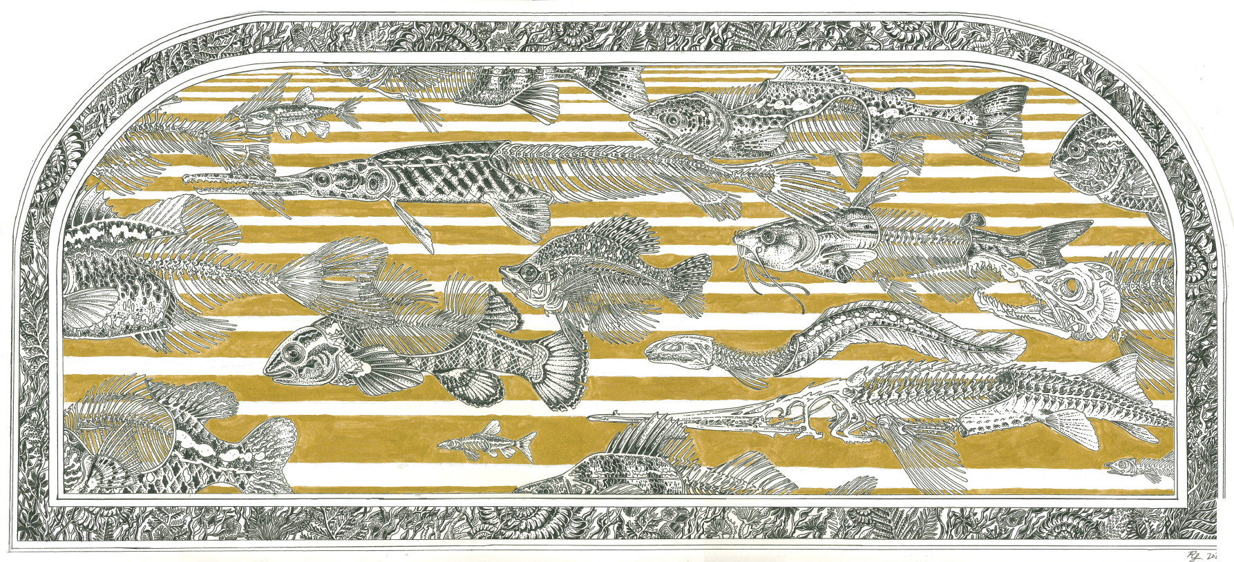 Upstream, Freshwater fish and fossils of Illinois