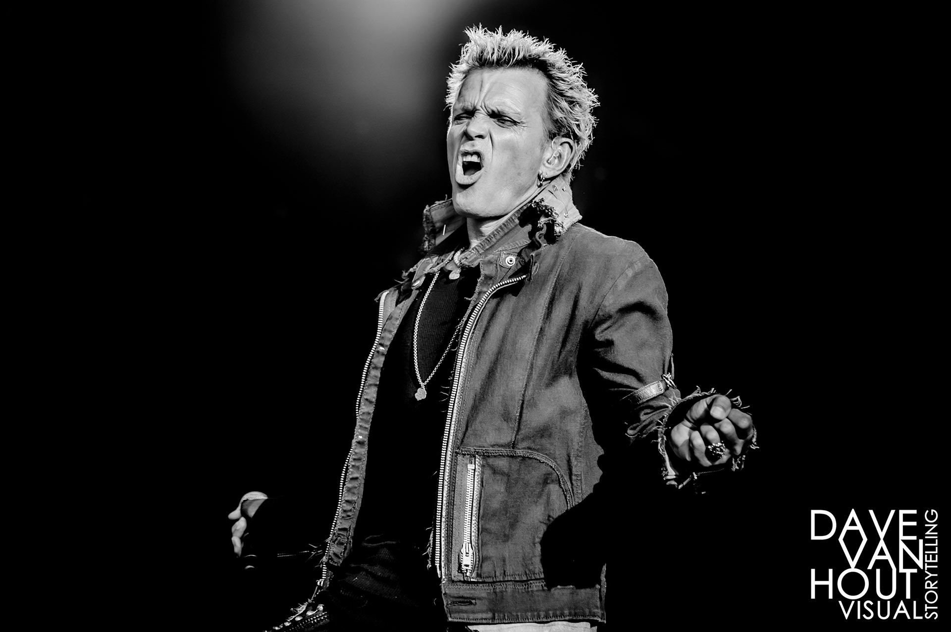 011 - Billy Idol - Bospop 2010