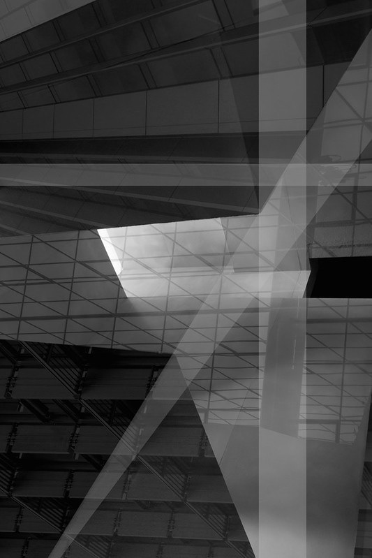 The Shape of Light 2