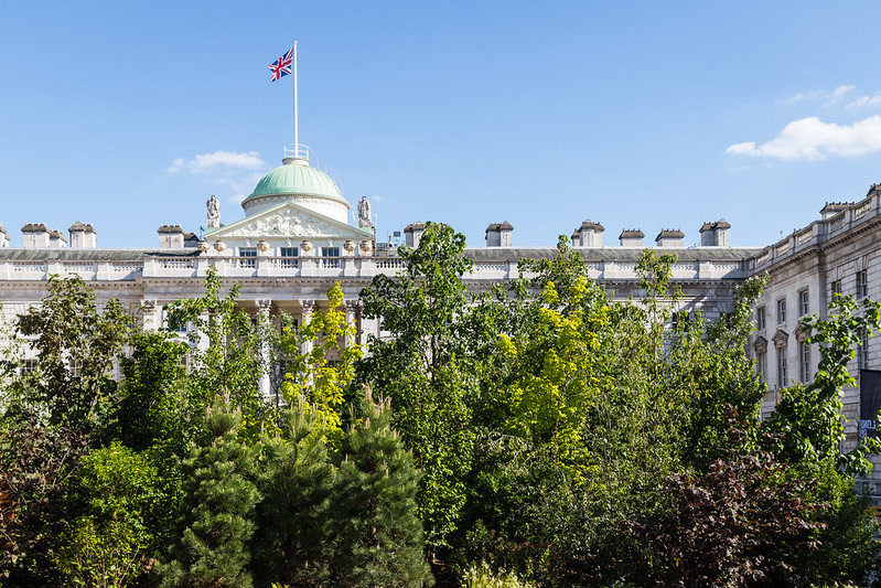 Forest for Change, Somerset House