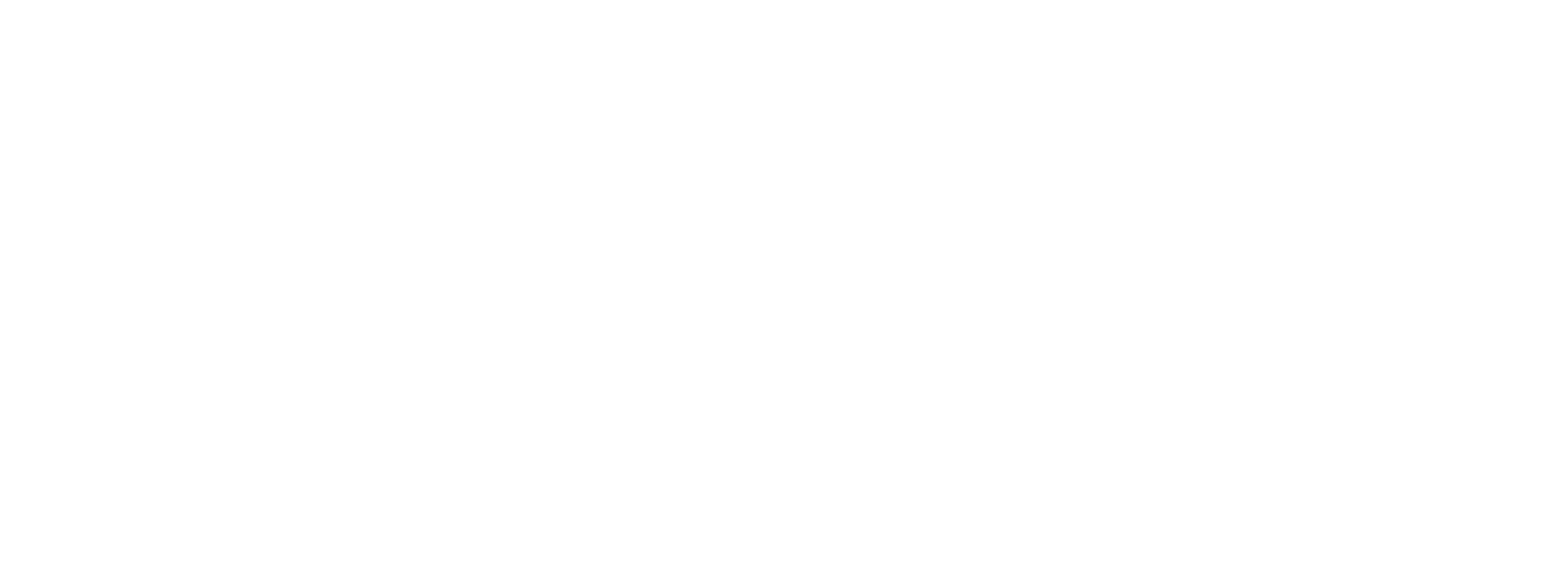 oicerebro