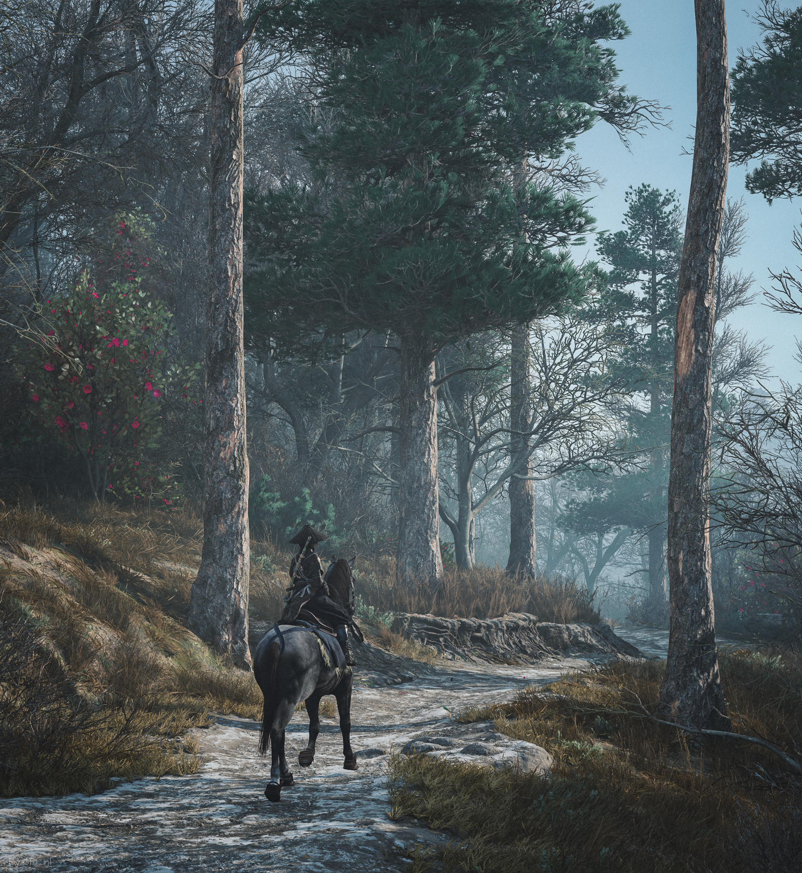 Assassin's Creed Shadows