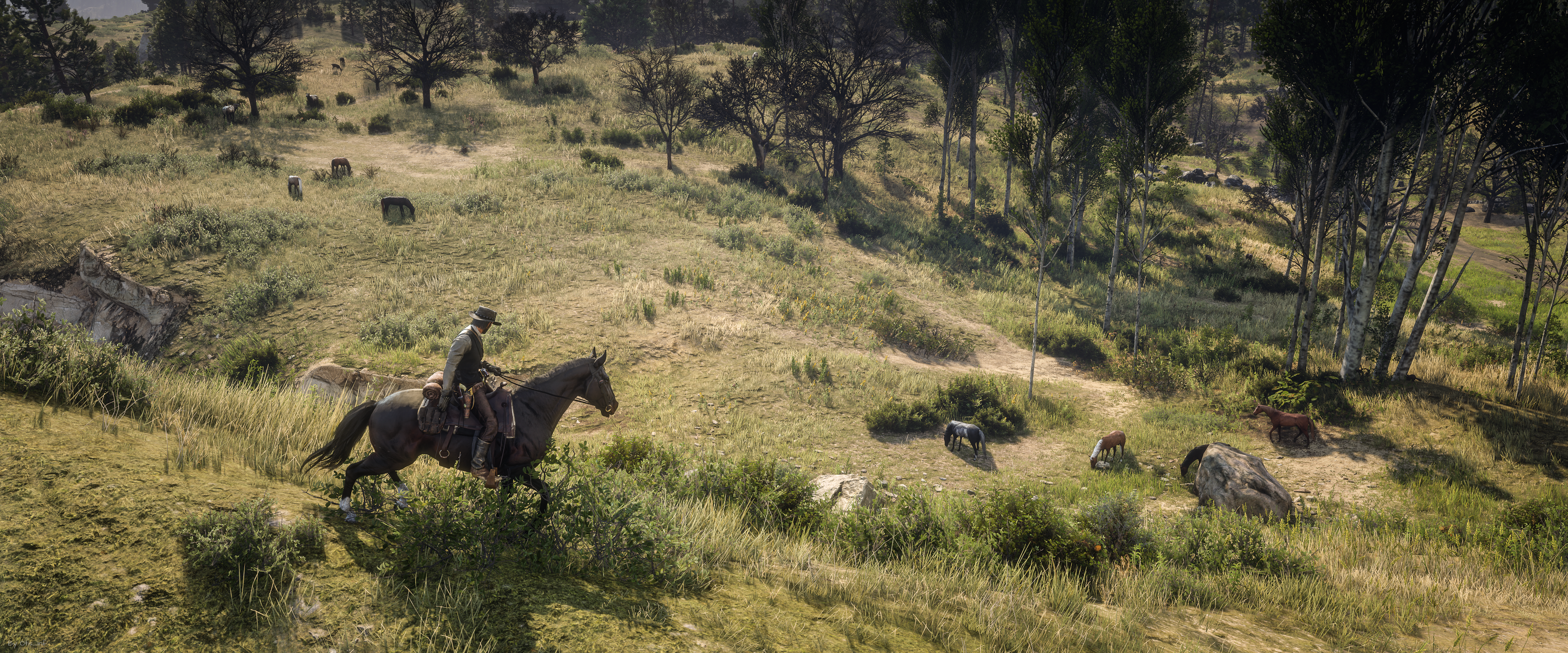 Red Dead Redemption 2