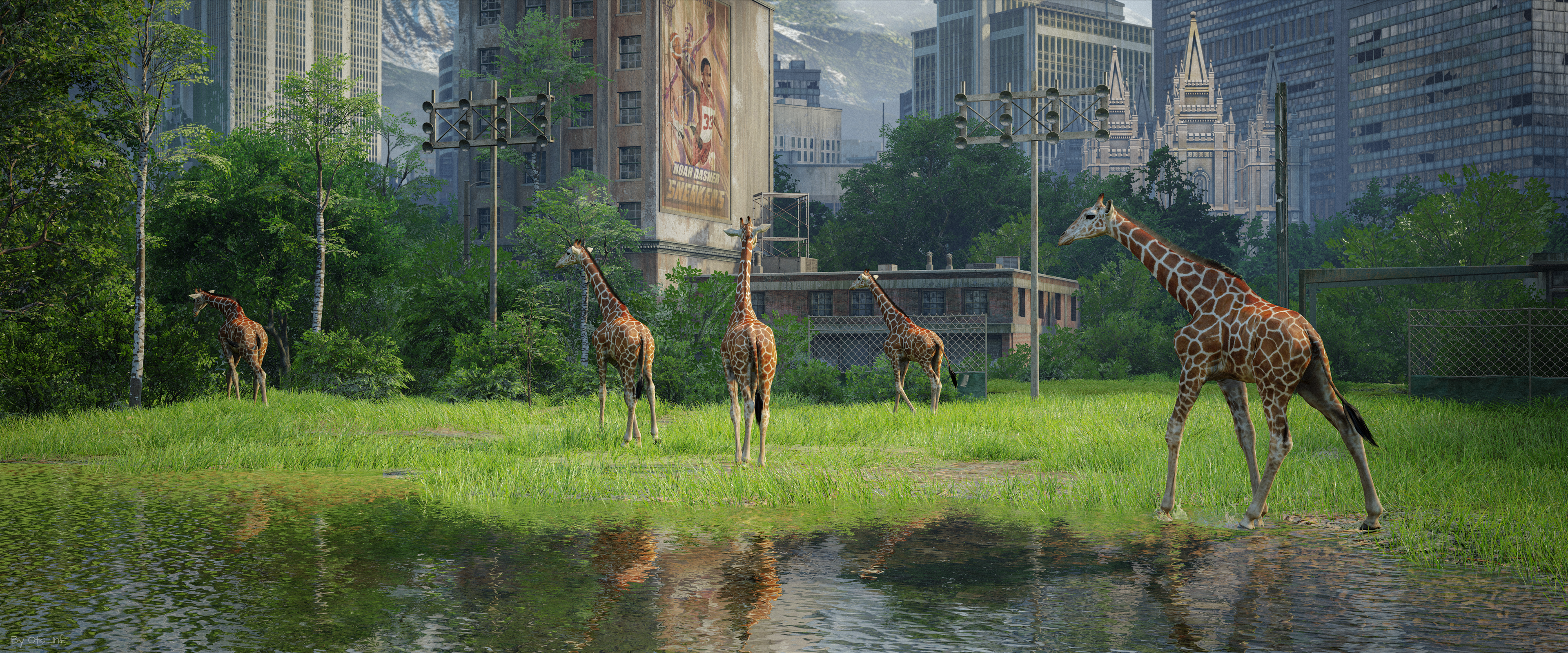 The Last of Us 1