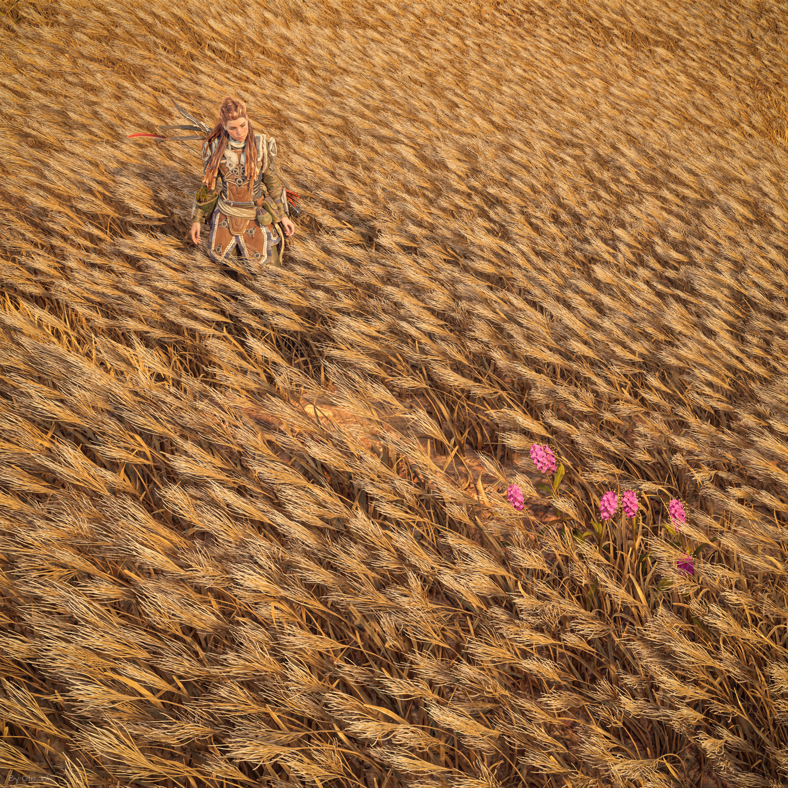 Horizon Forbidden West