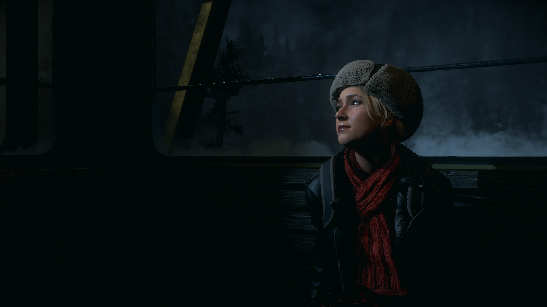 Until Dawn