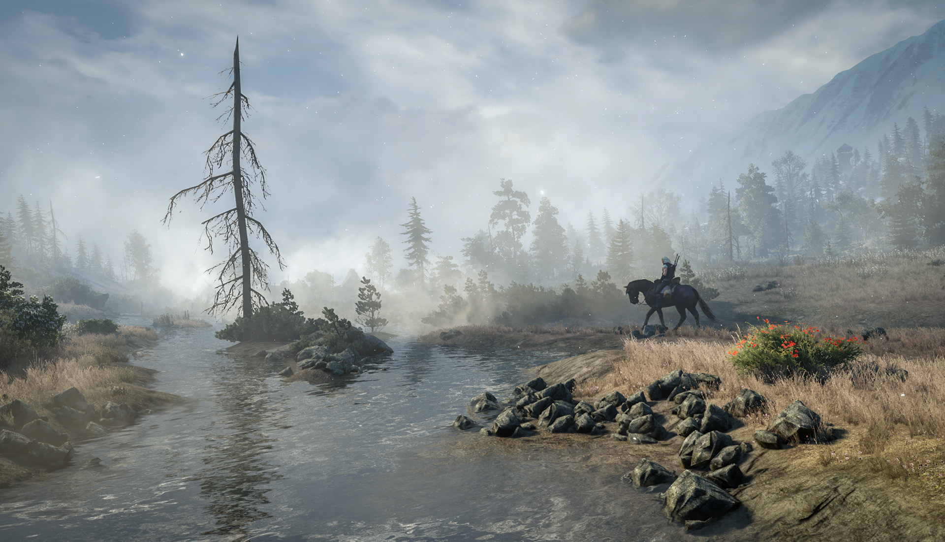 The Witcher 3