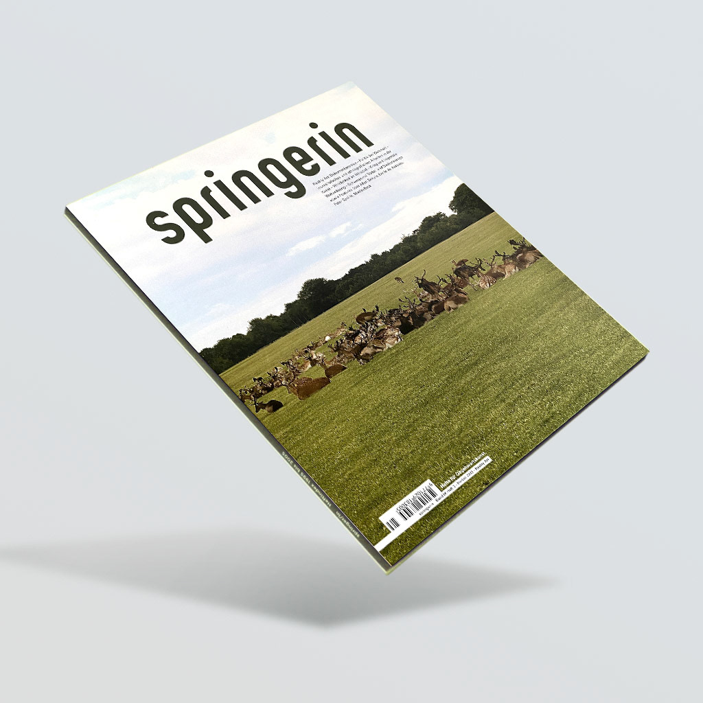 Springerin – Cover