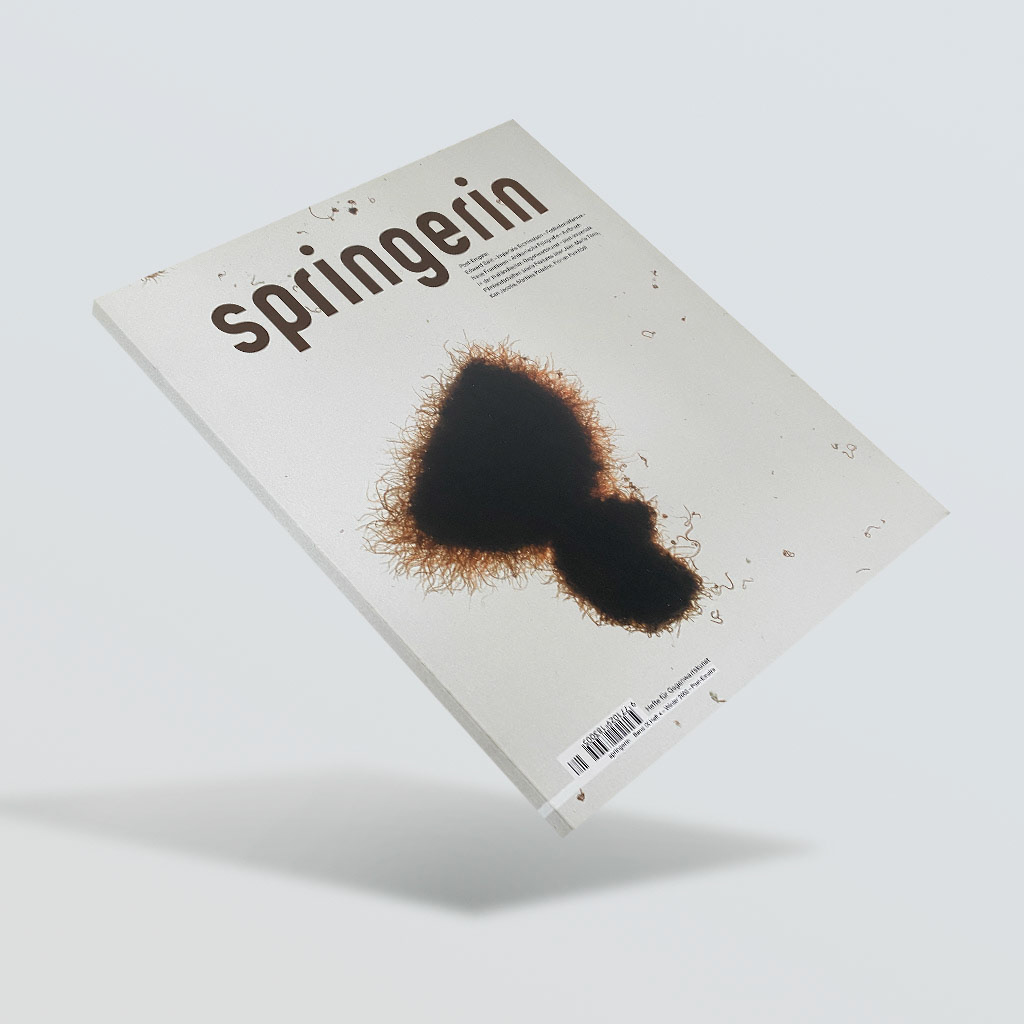 Springerin – Cover