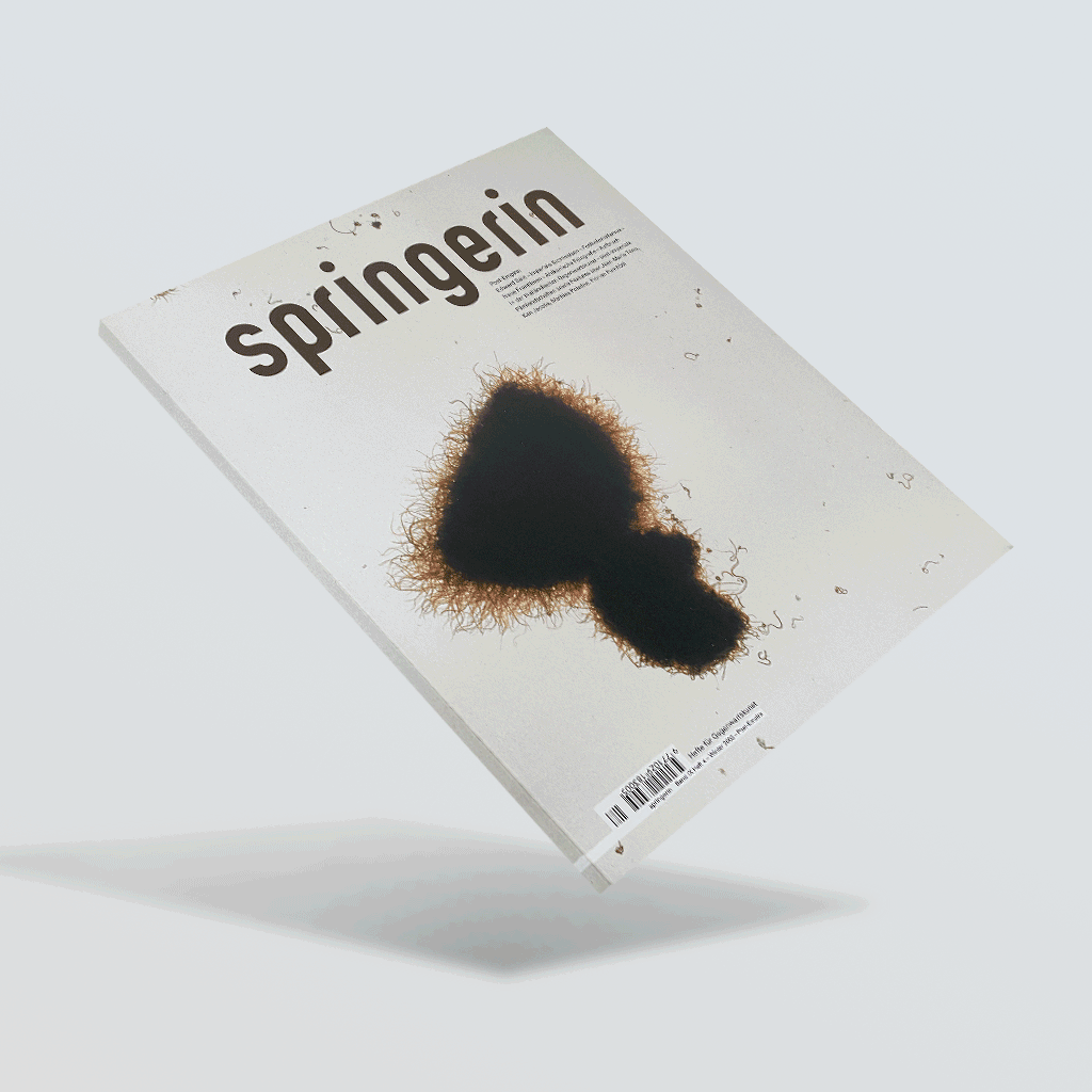 Springerin – Cover