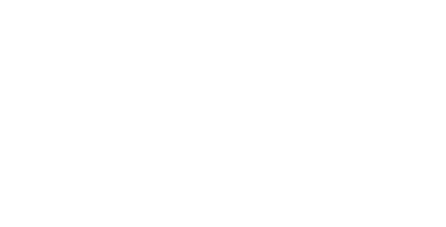 the zonie dronie