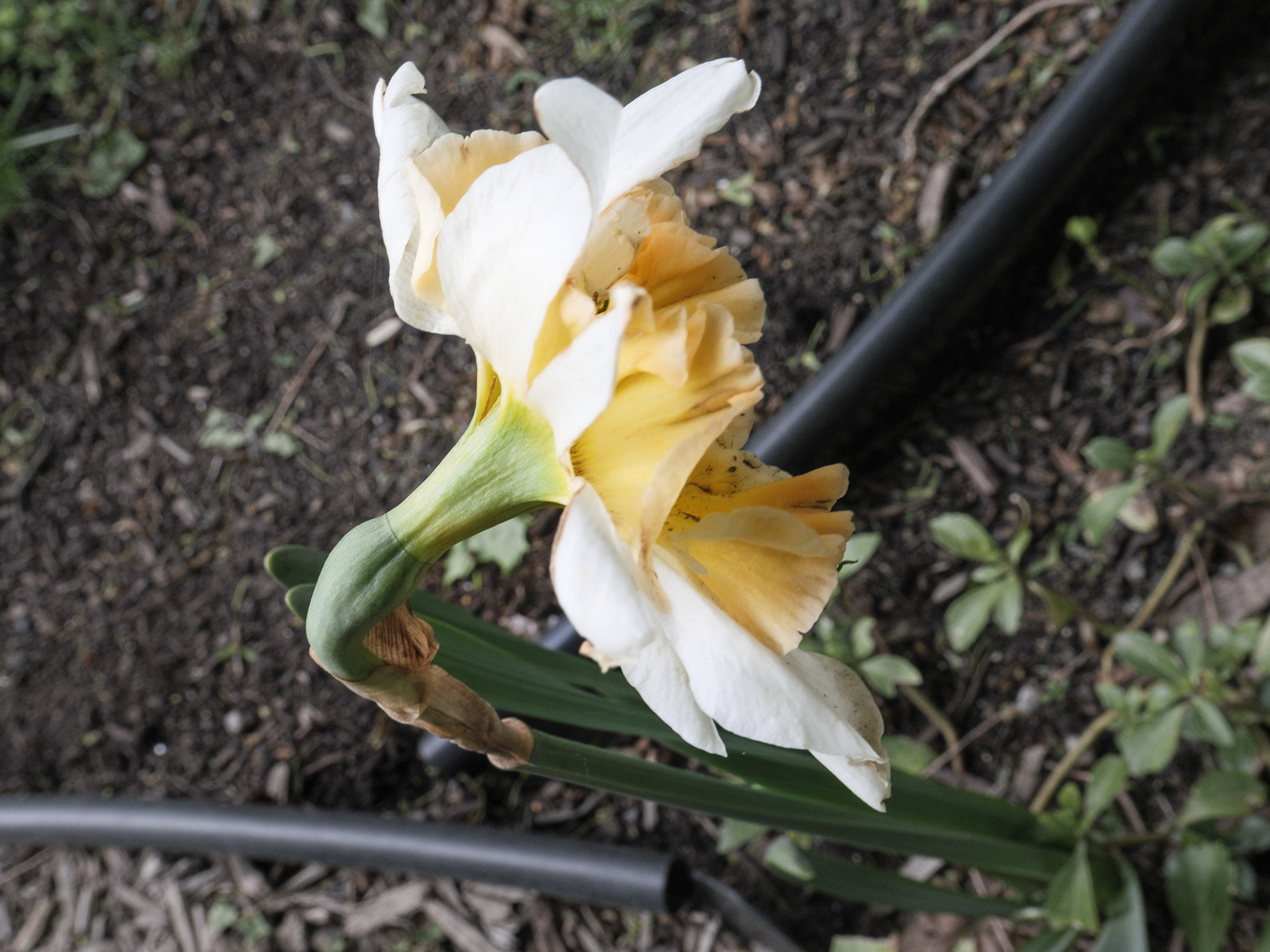 May 03 2023