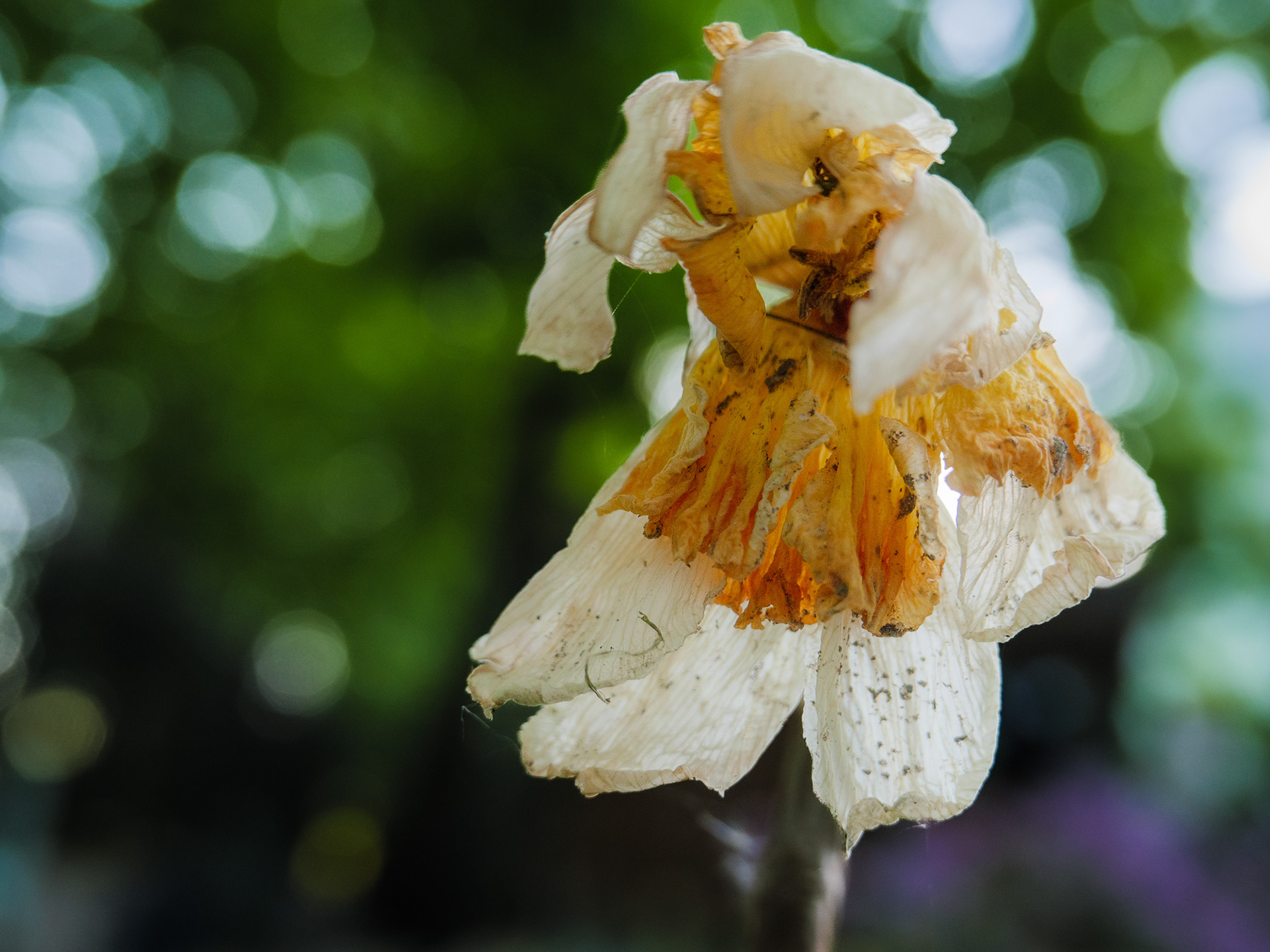 May 07 2023
