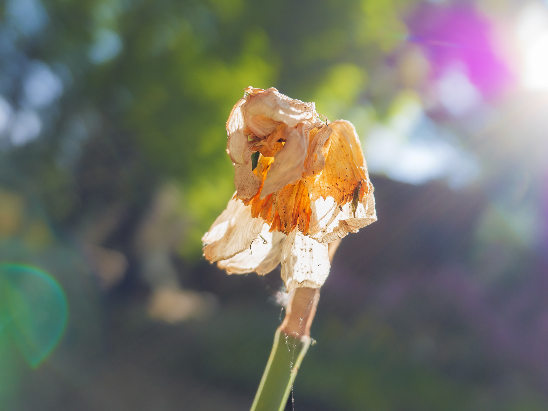 May 09 2023