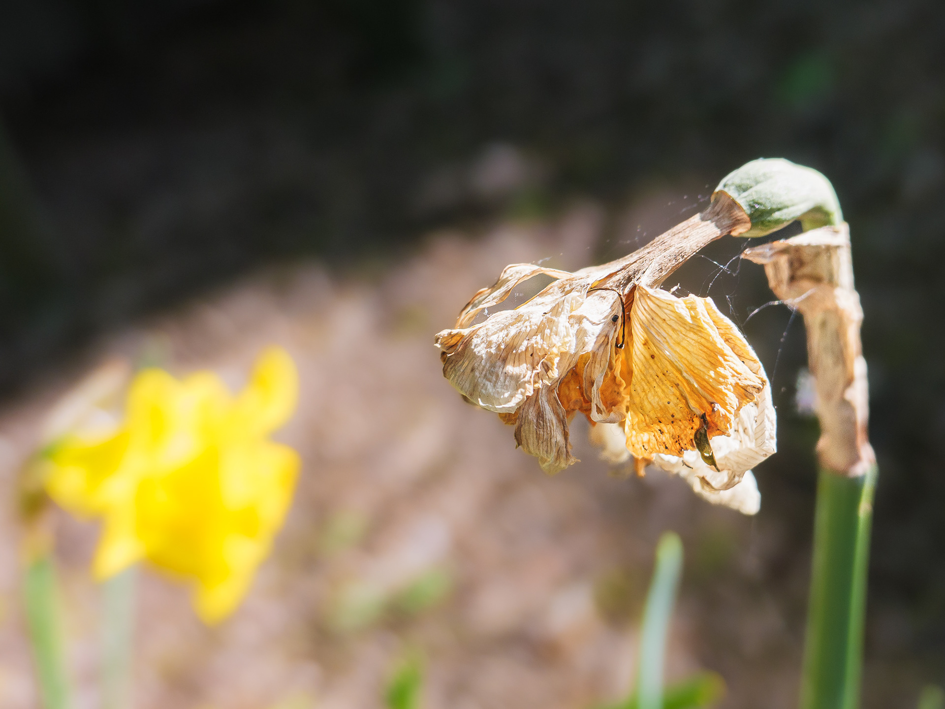 May 09 2023