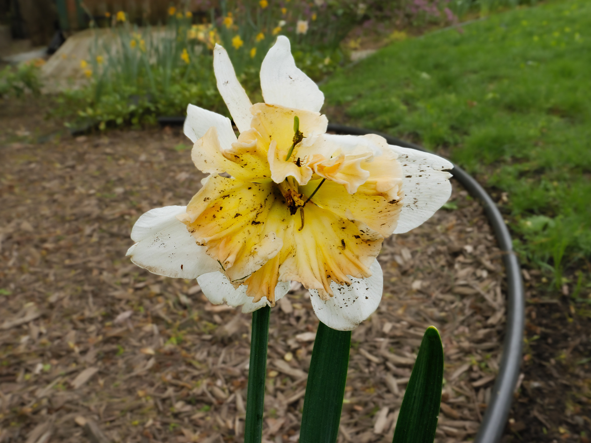 May 01 2023