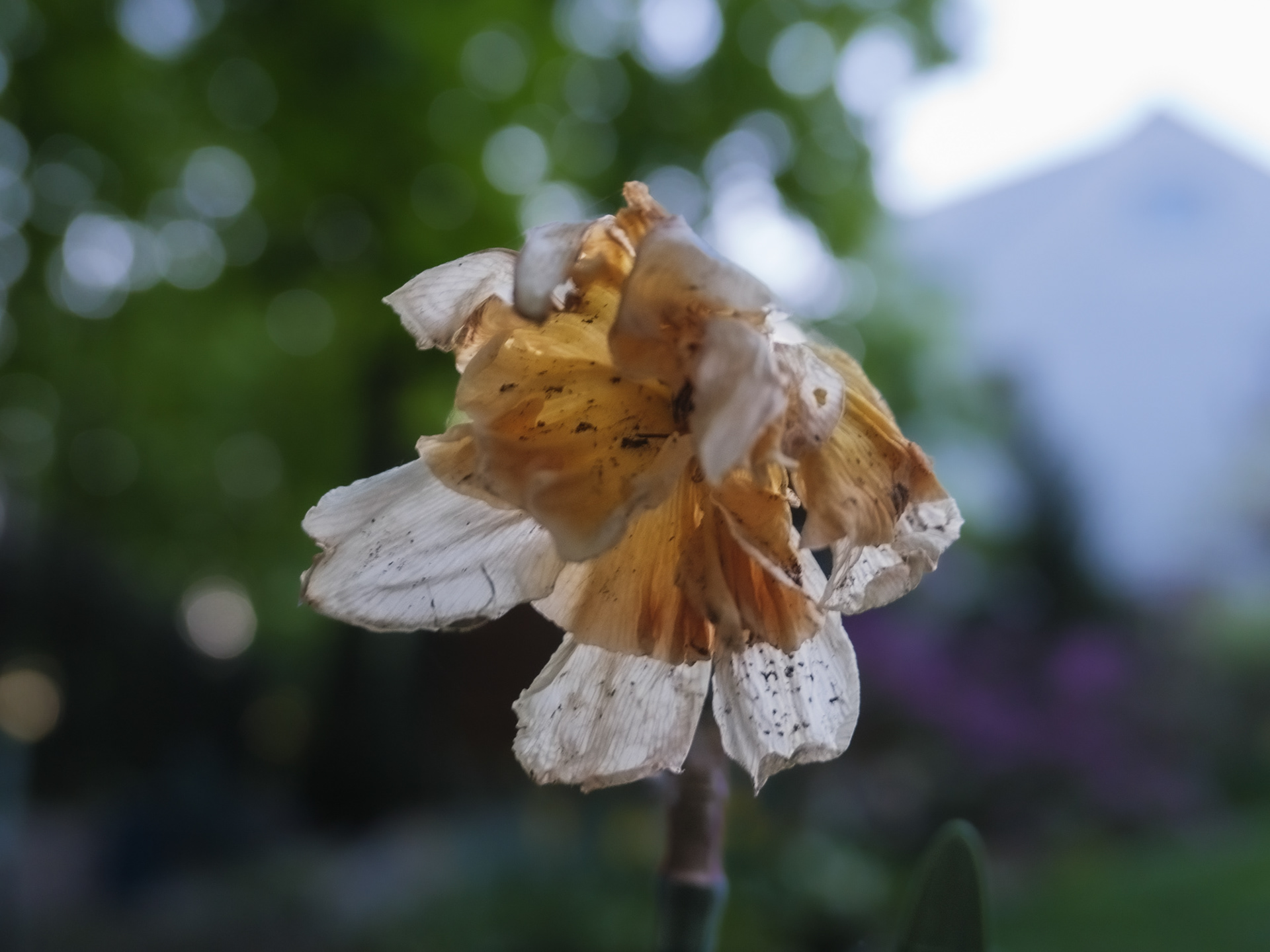 May 06 2023