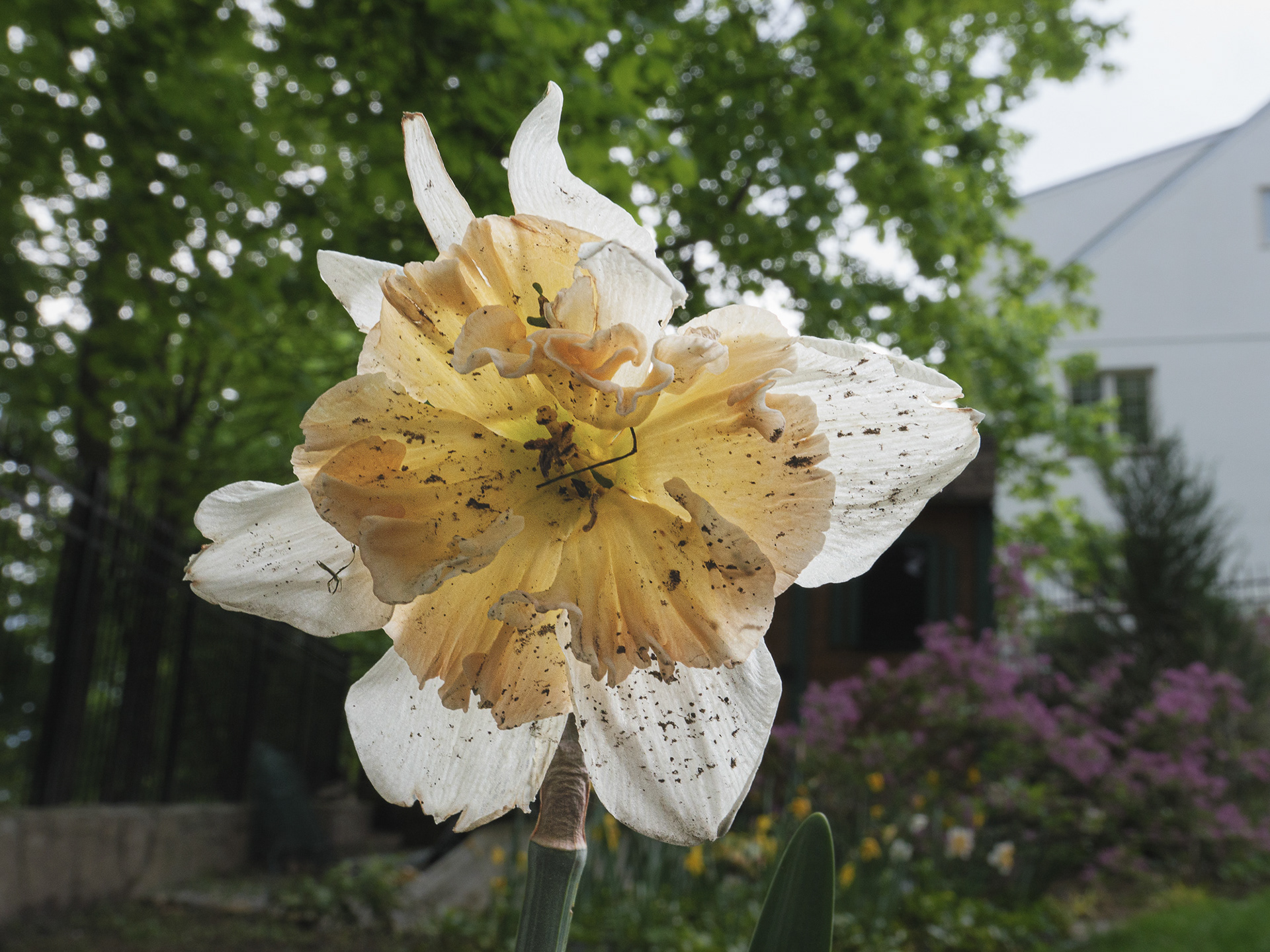 May 03 2023