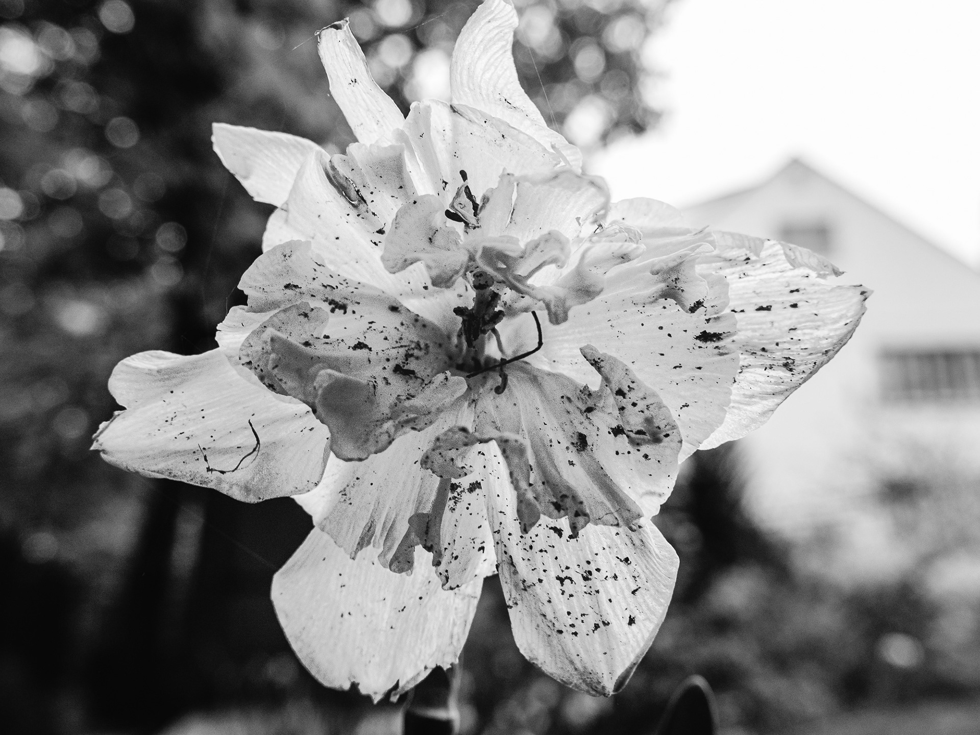 May 04 2023