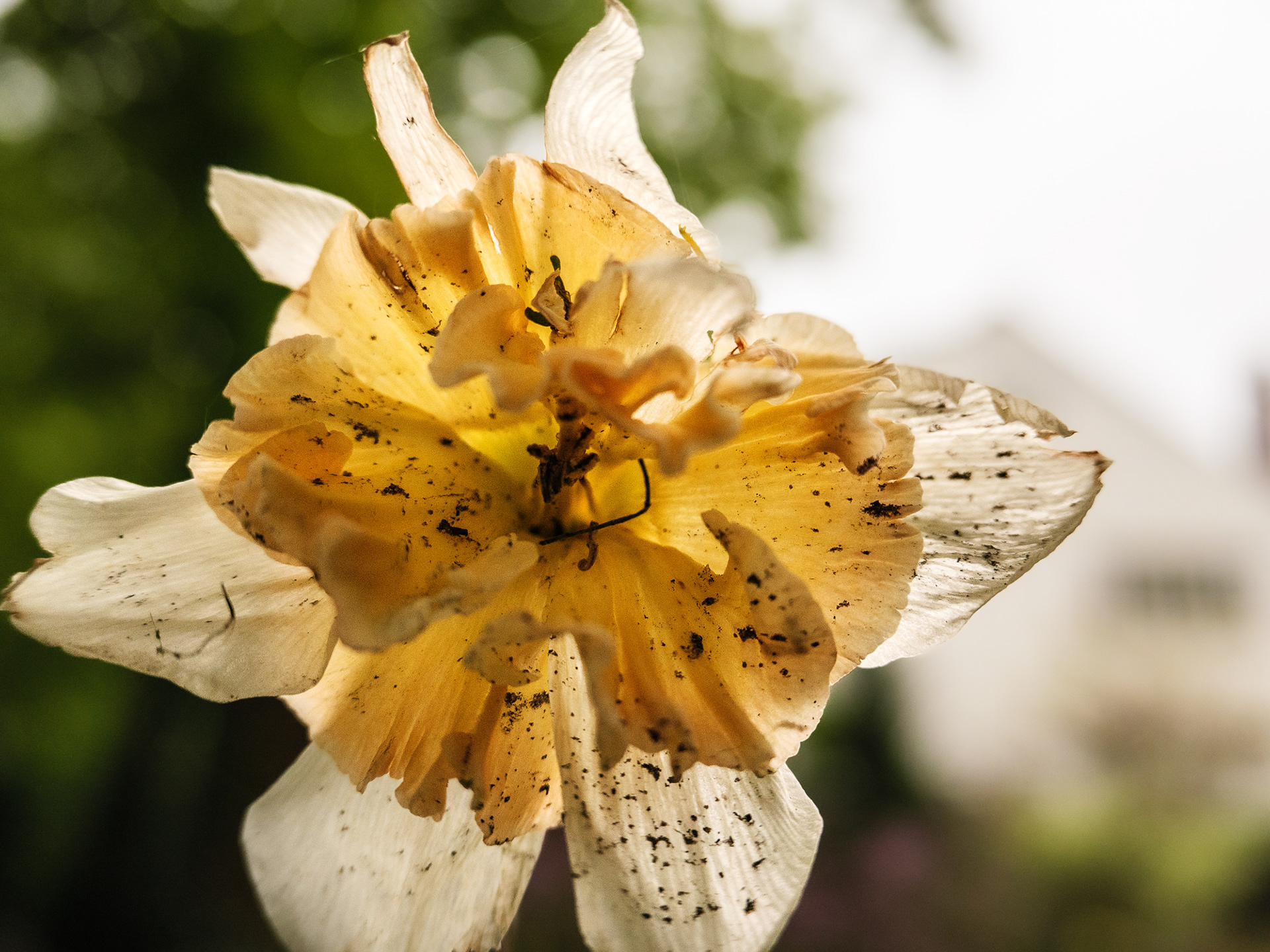 May 04 2023