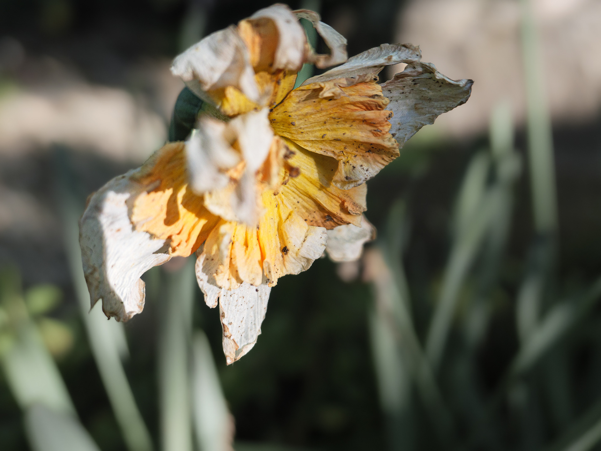 May 09 2023