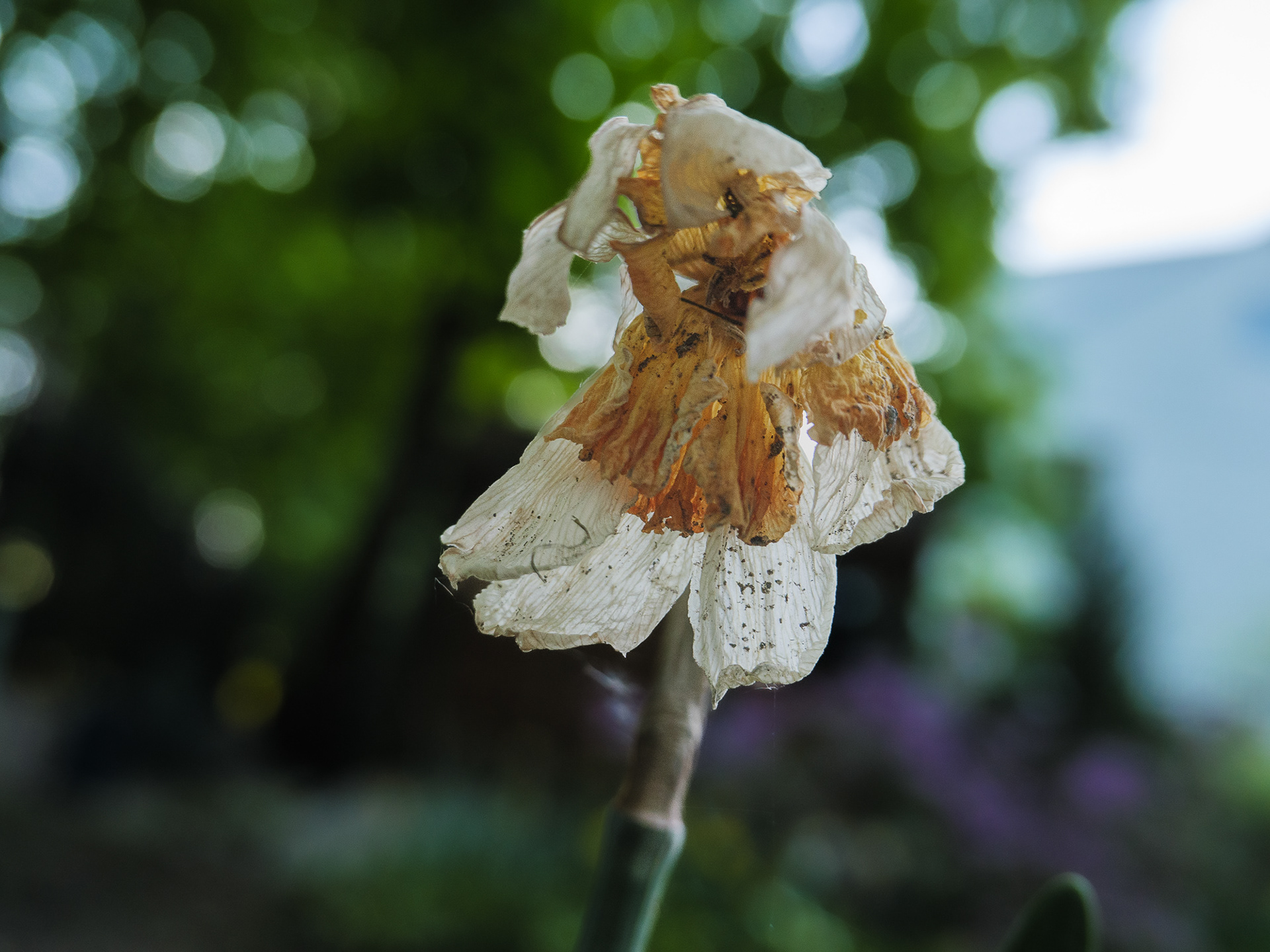 May 07 2023