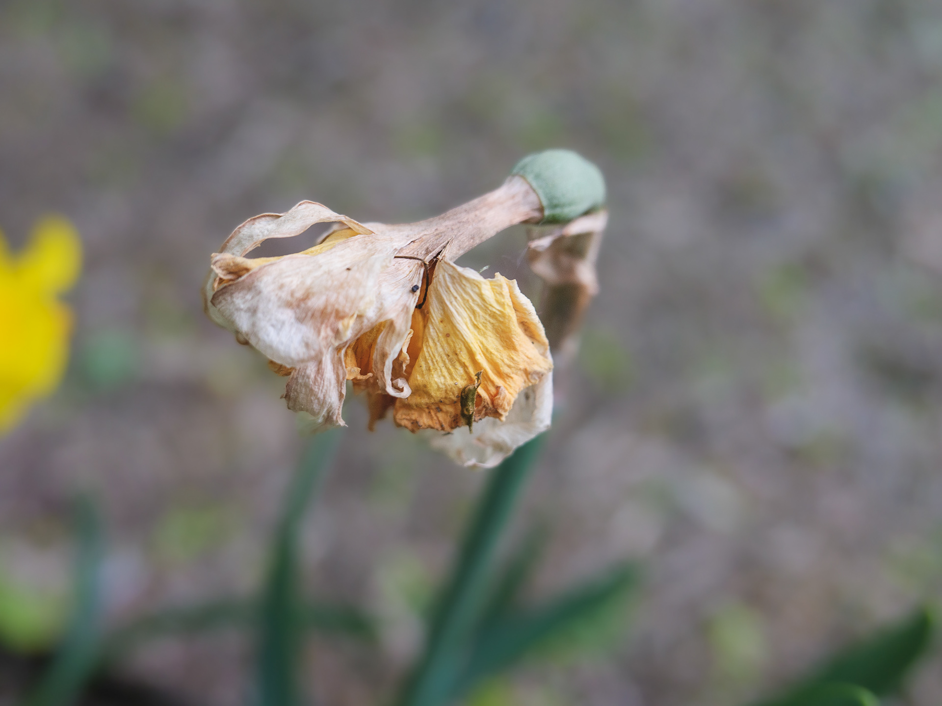 May 08 2023