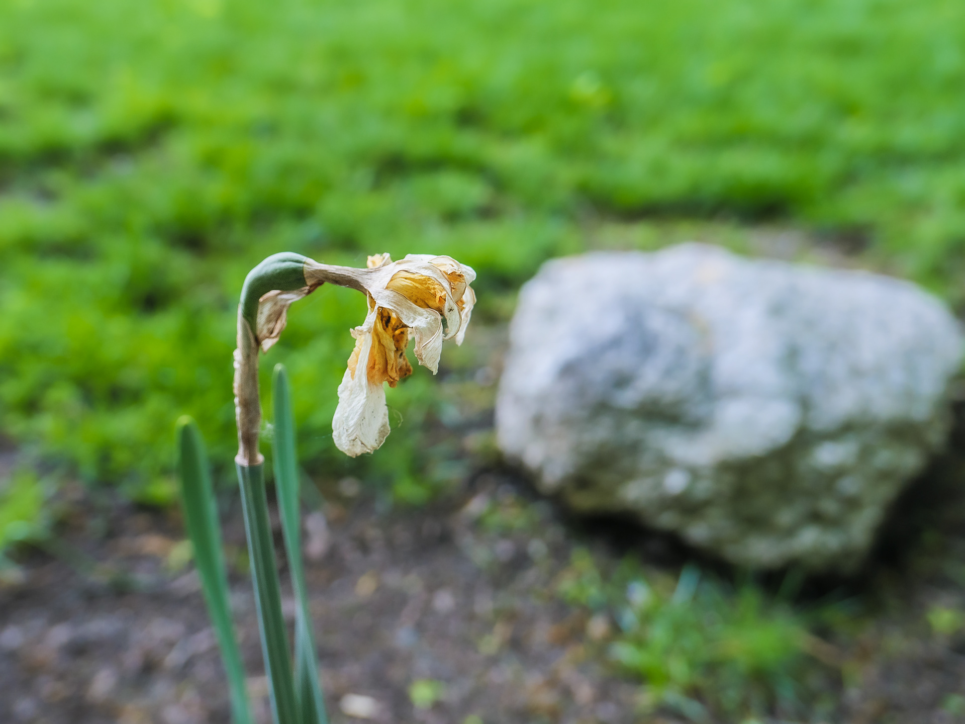 May 07 2023