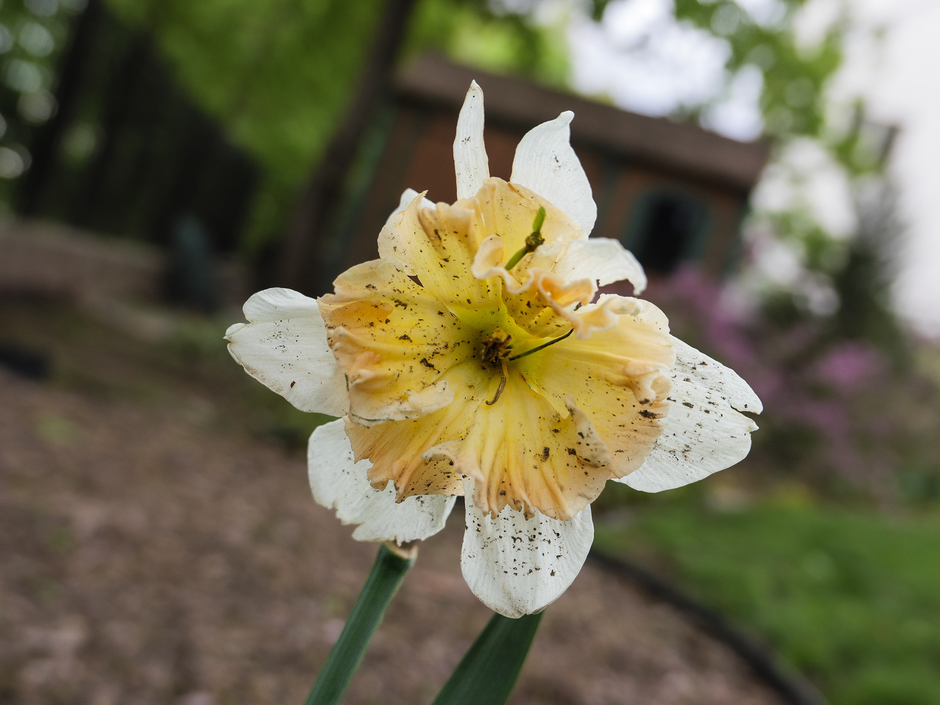 May 01 2023
