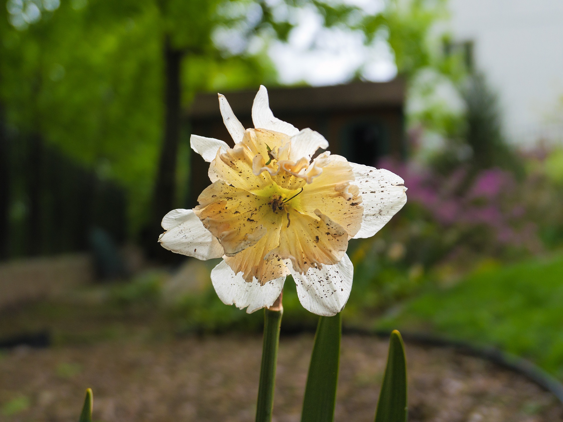 May 02 2023