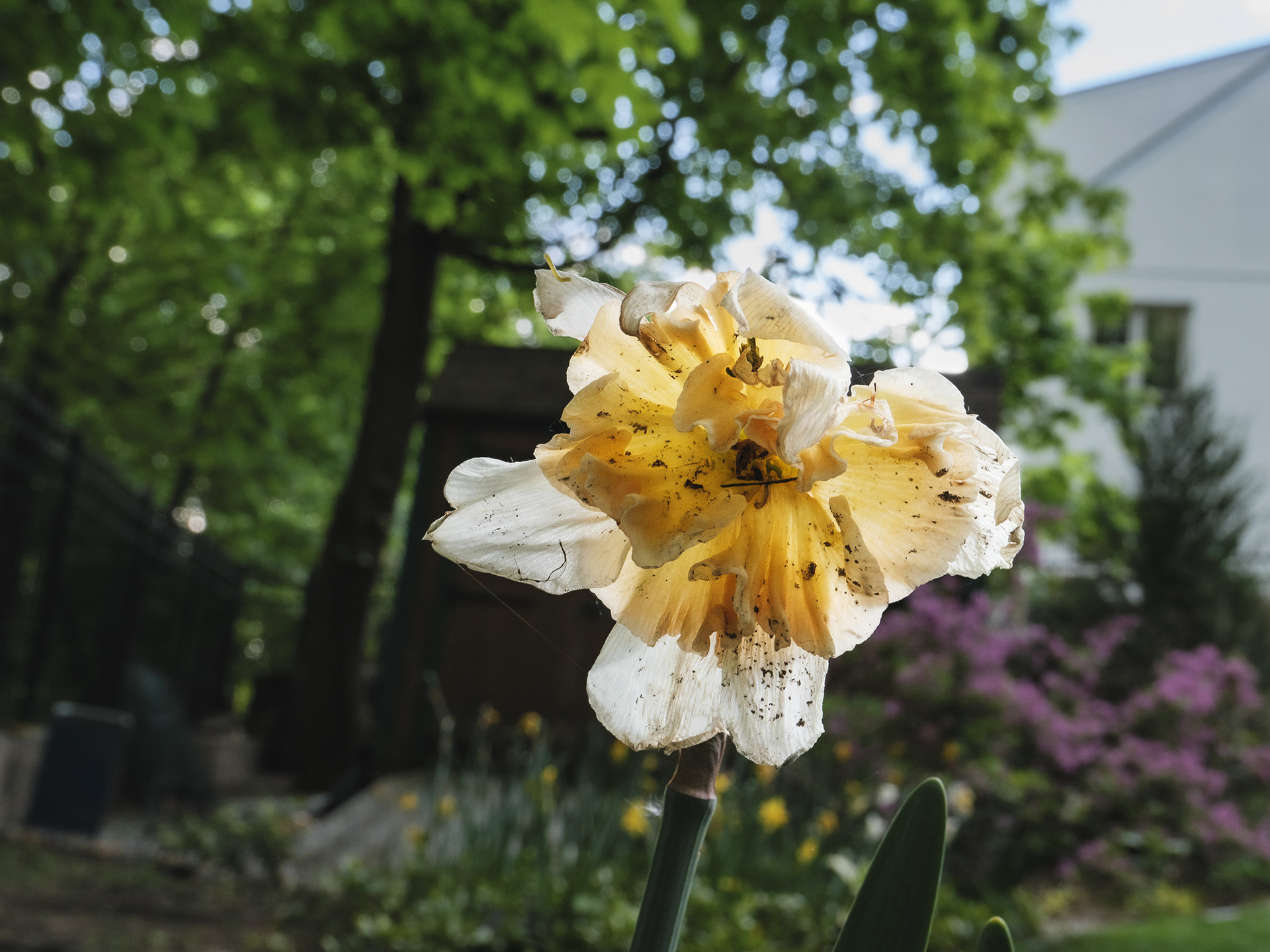 May 05 2023