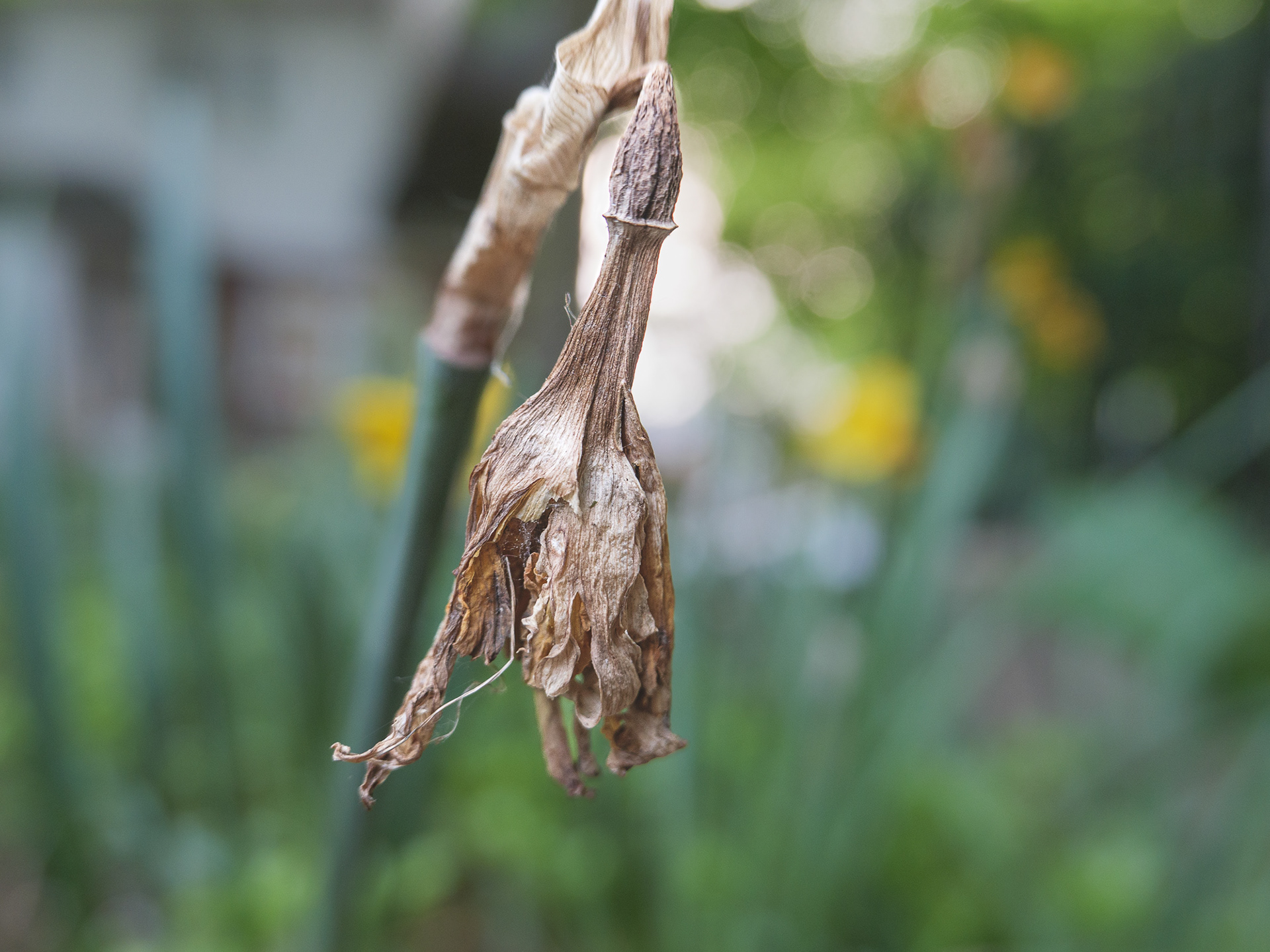 May 21 2023 - evening