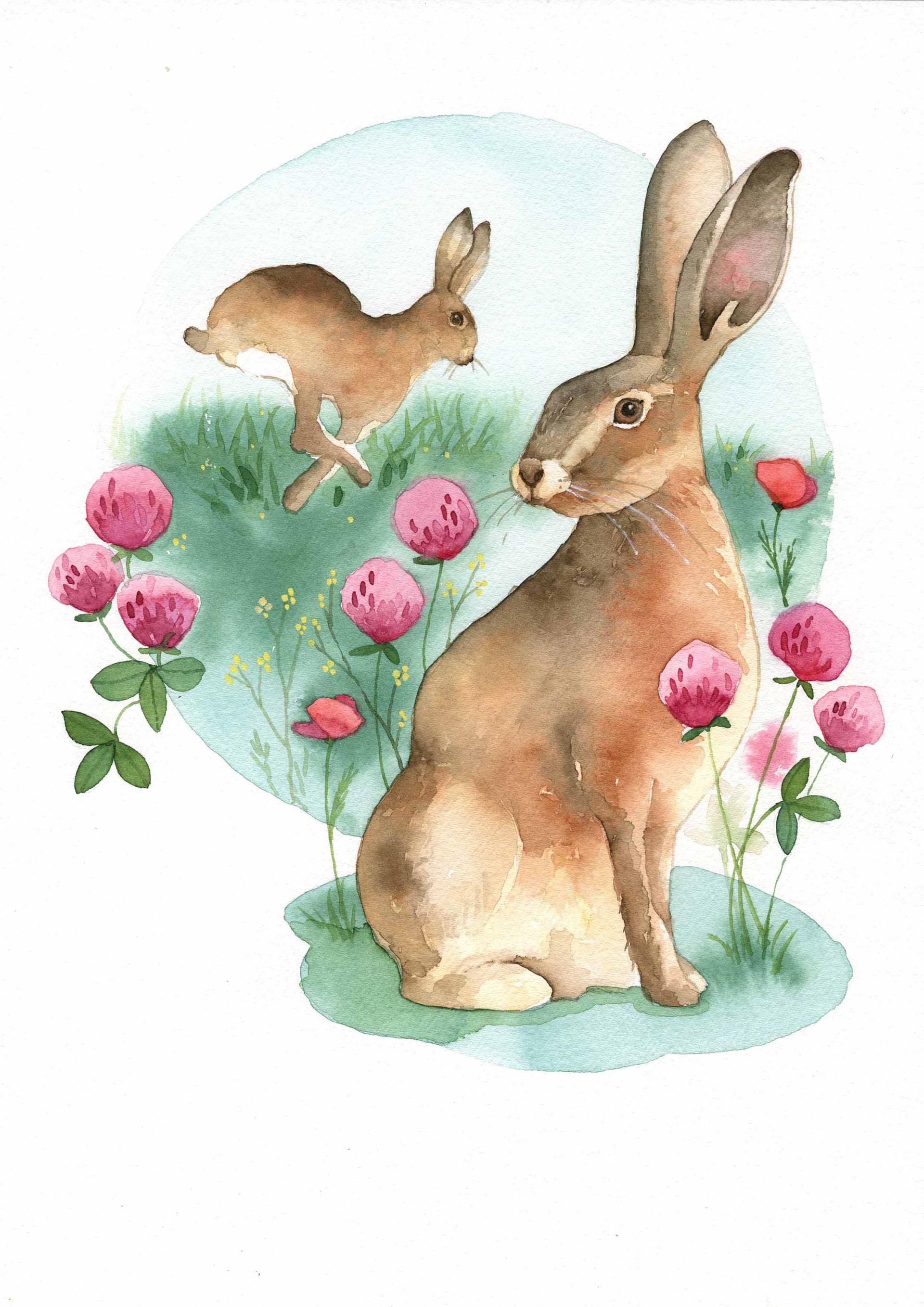 Hare