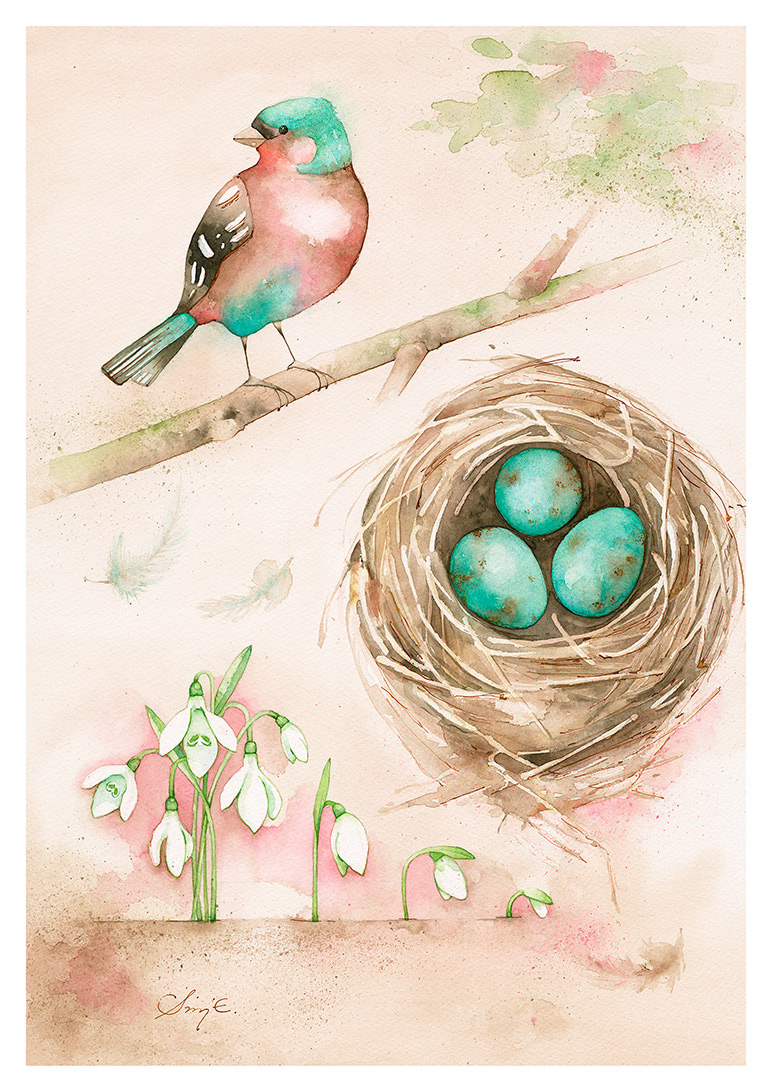 Chaffinch