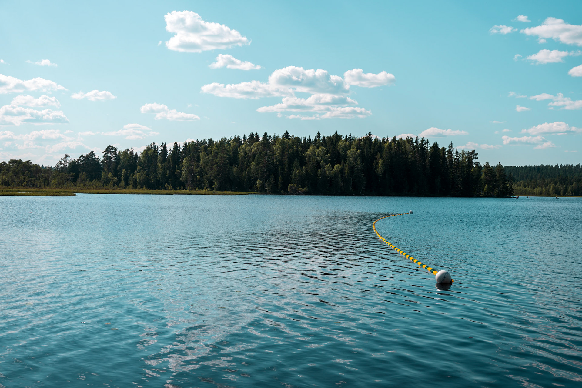 A serene lake surrounded by a dense forest under a partly cloudy sky.
