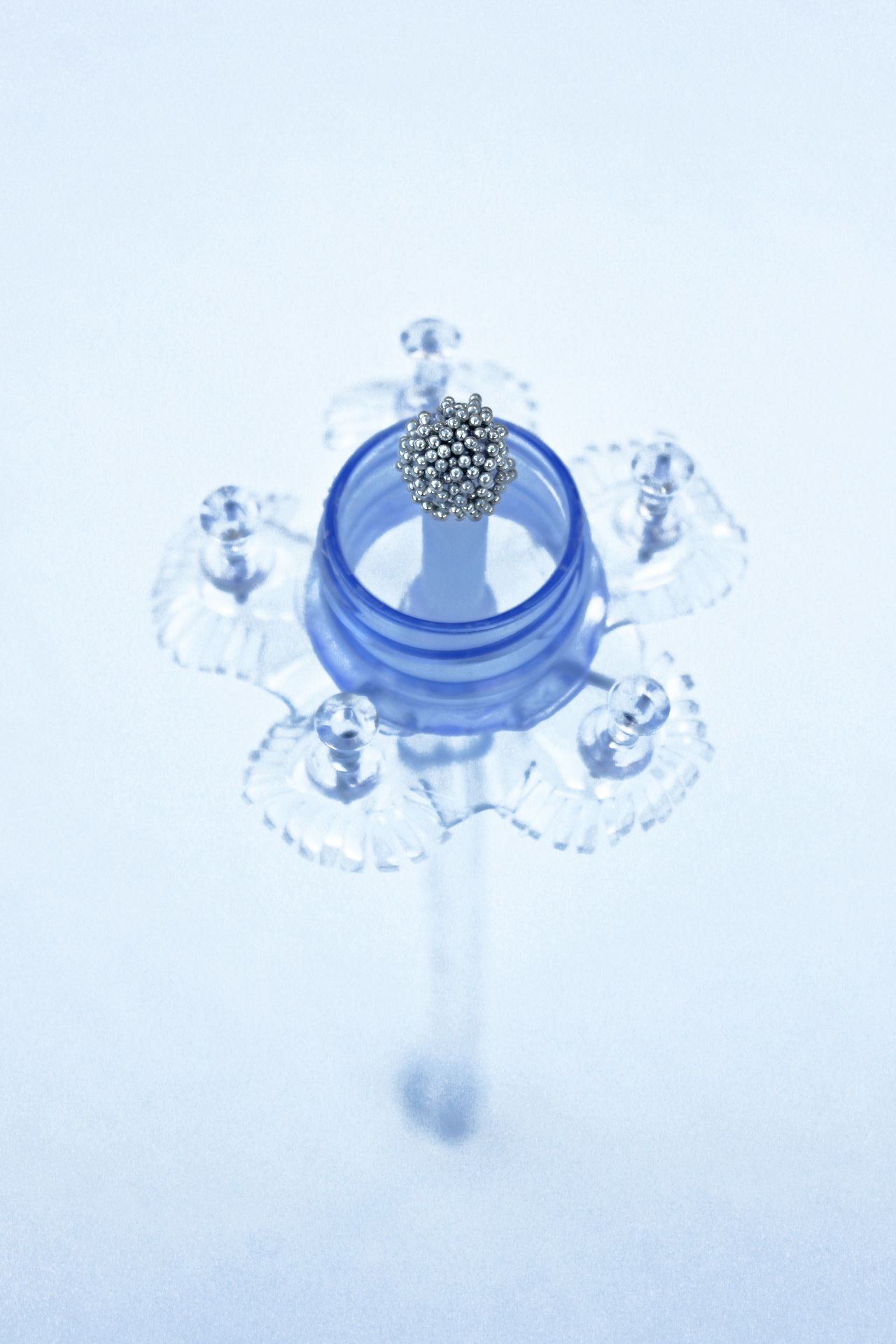 White Caviar Flower, 2022